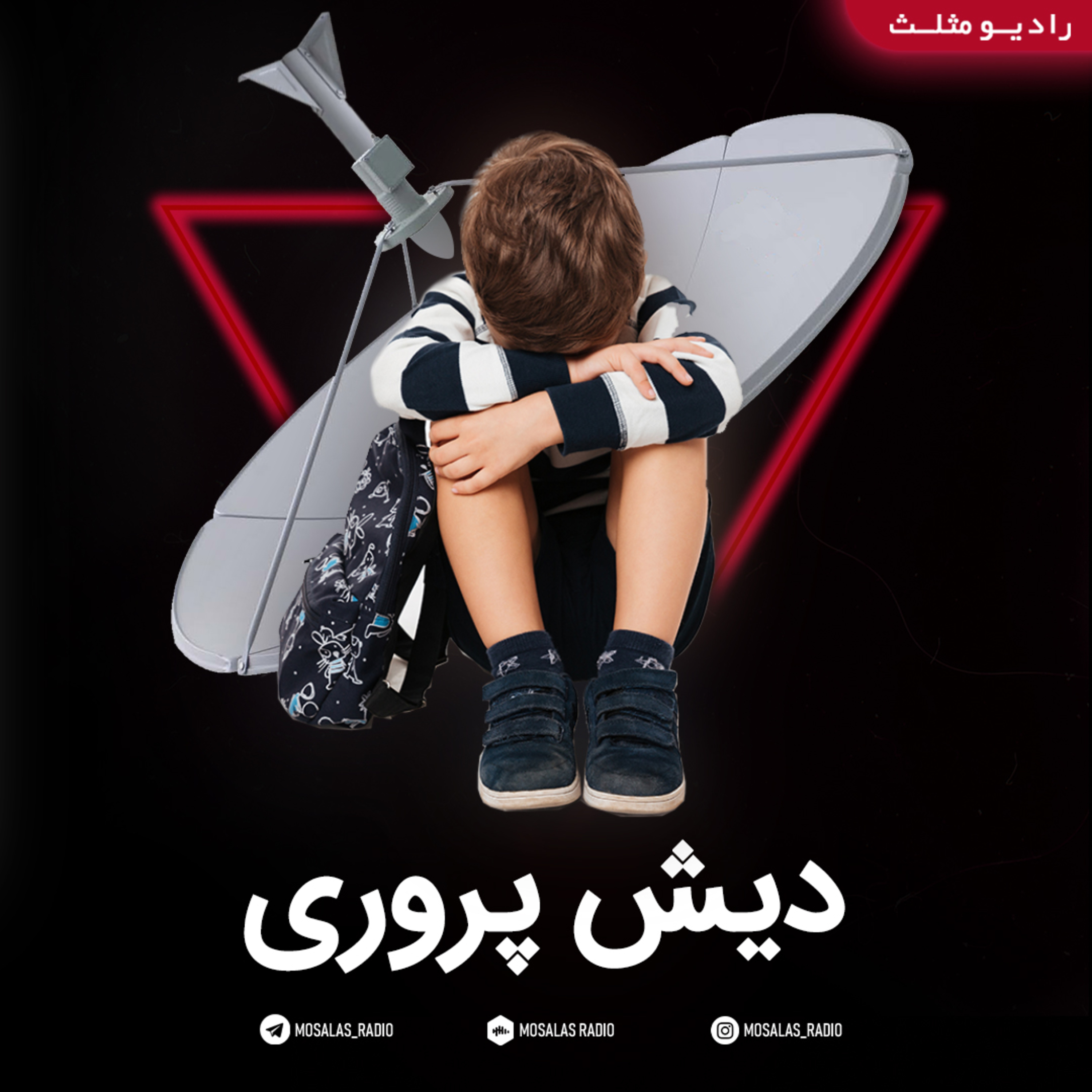 کاور طنز دیش پروری