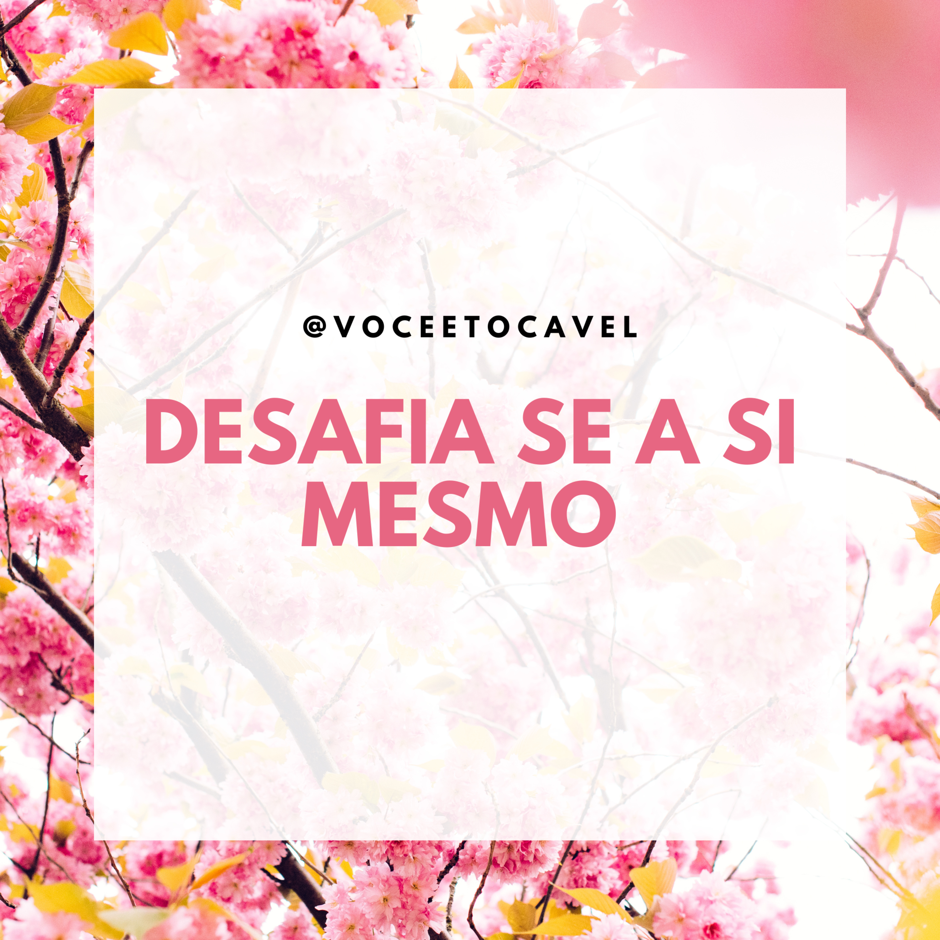 Você é Tocável