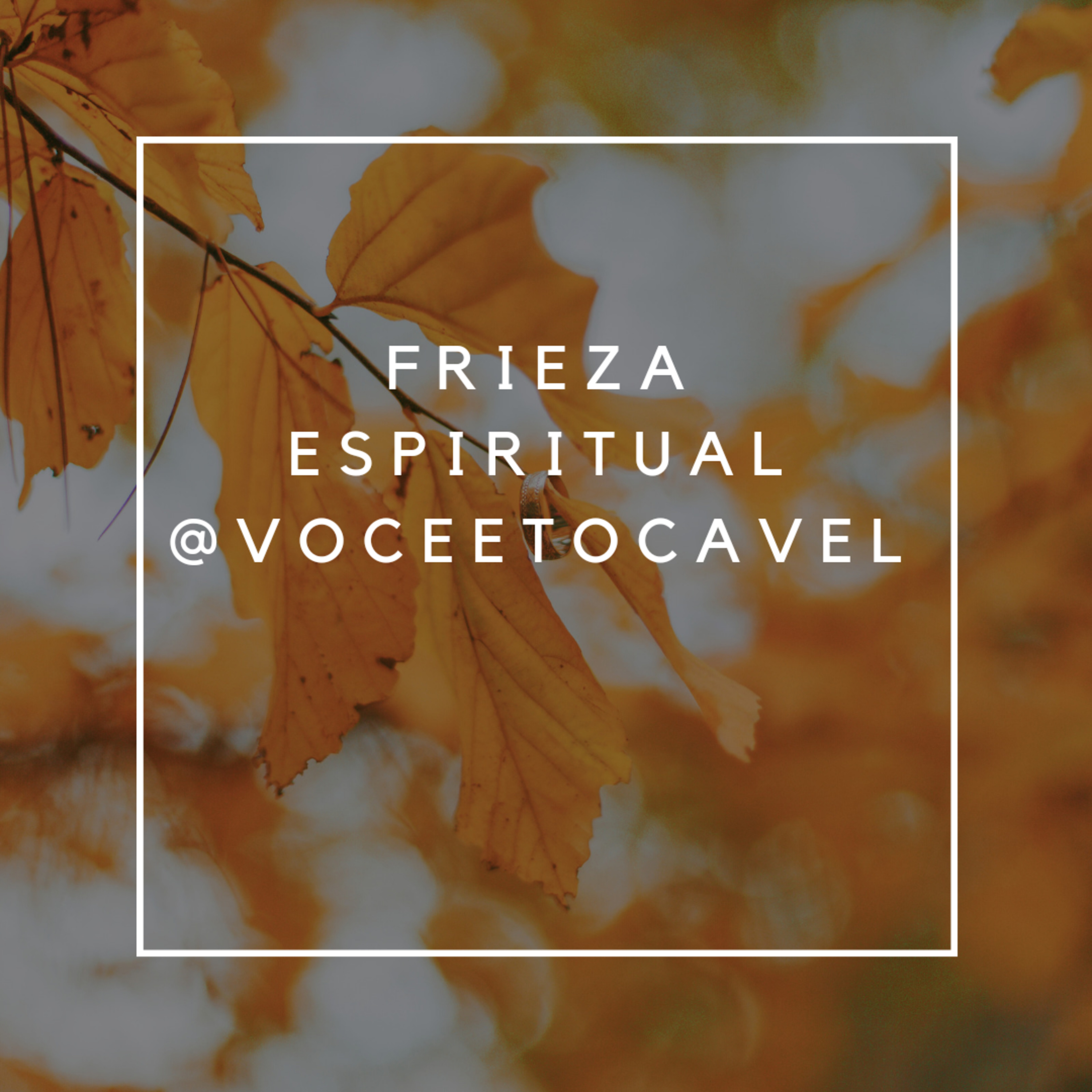 Você é Tocável
