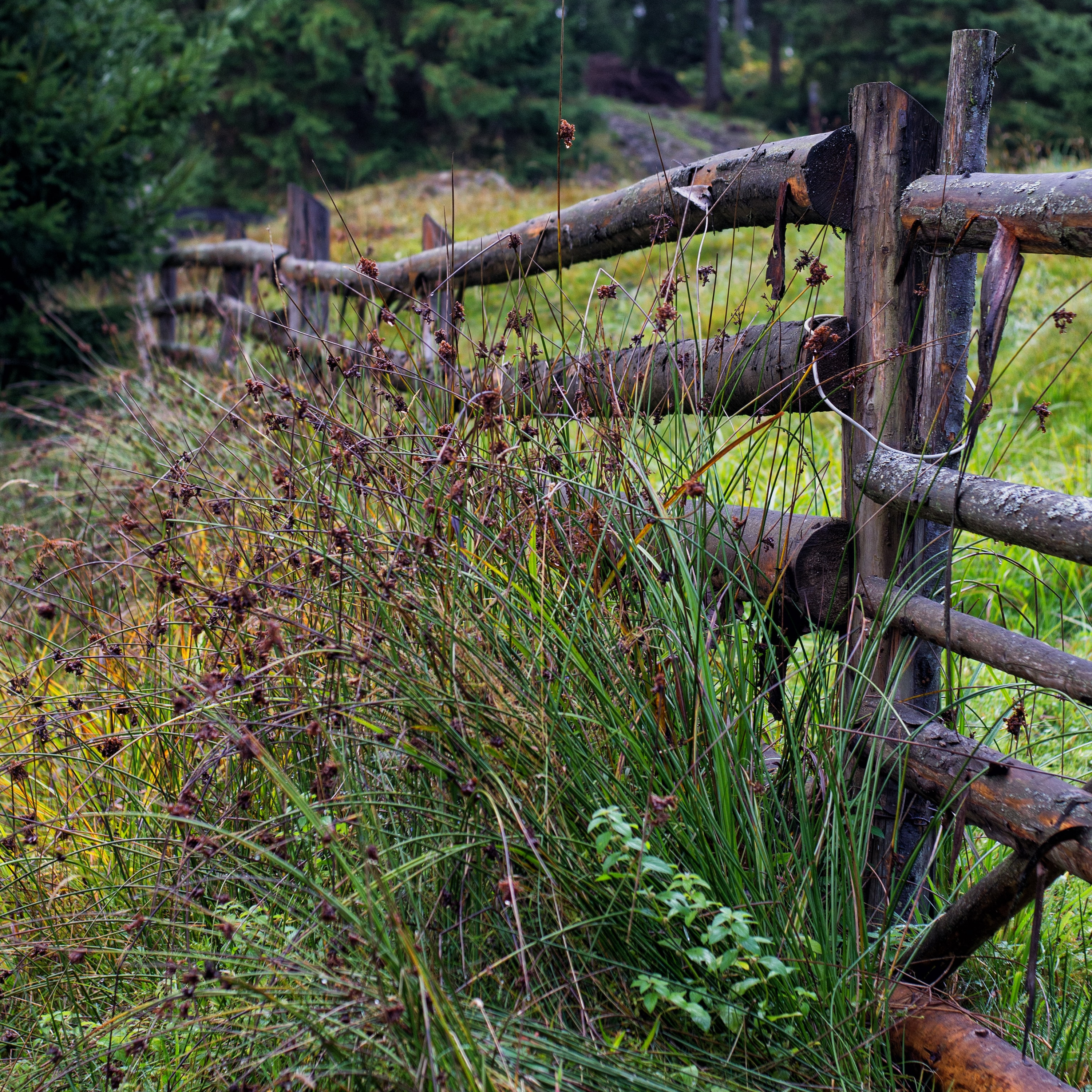 Wandering the Edge