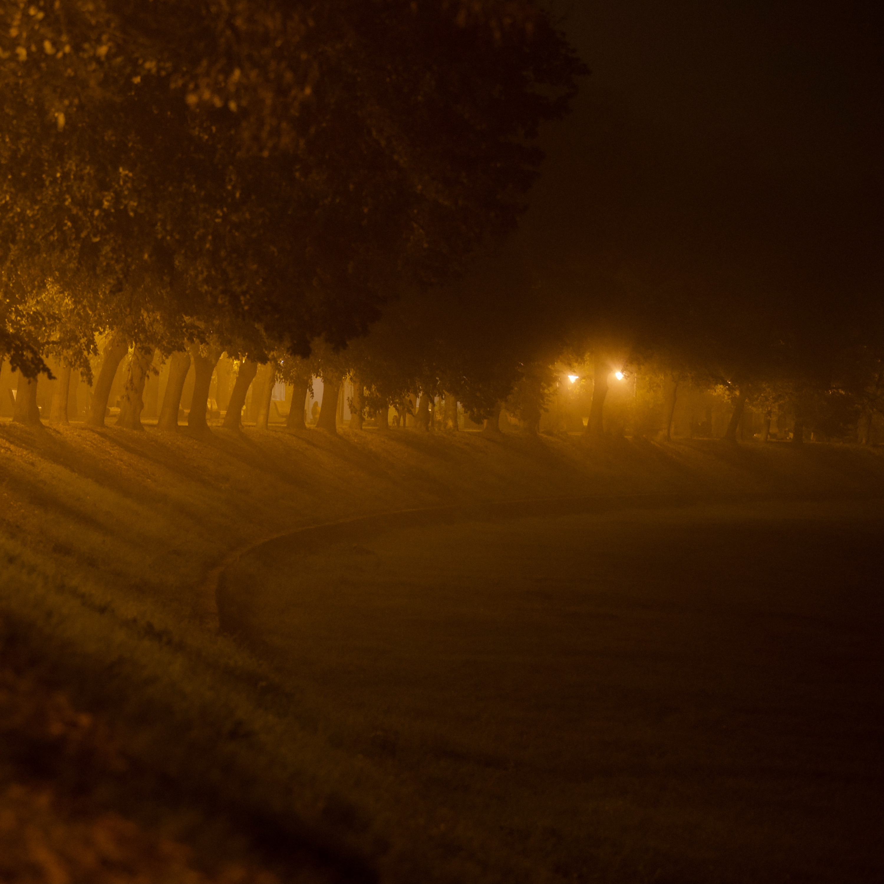 Wandering the Edge