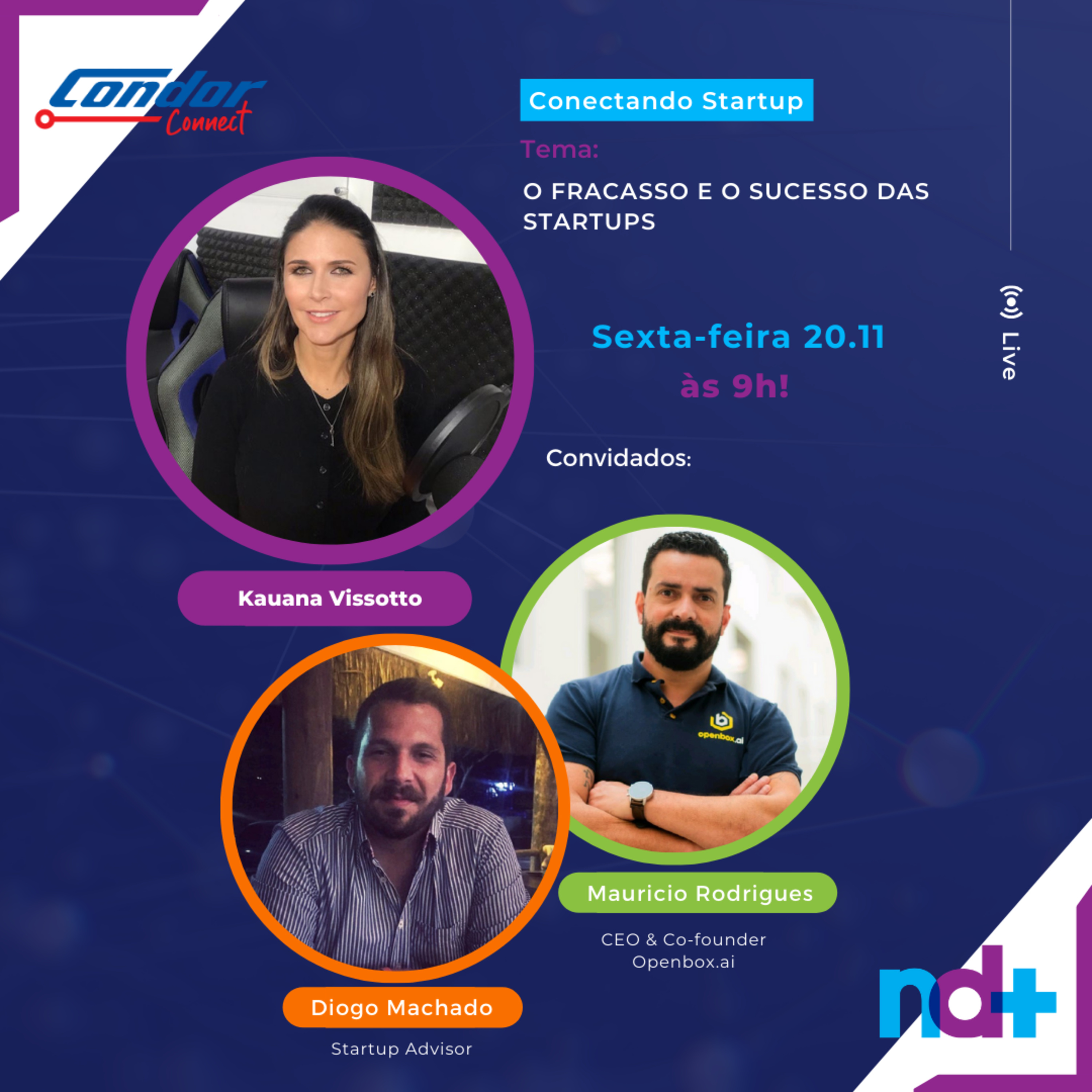 O fracasso e o sucesso das startups episode artwork