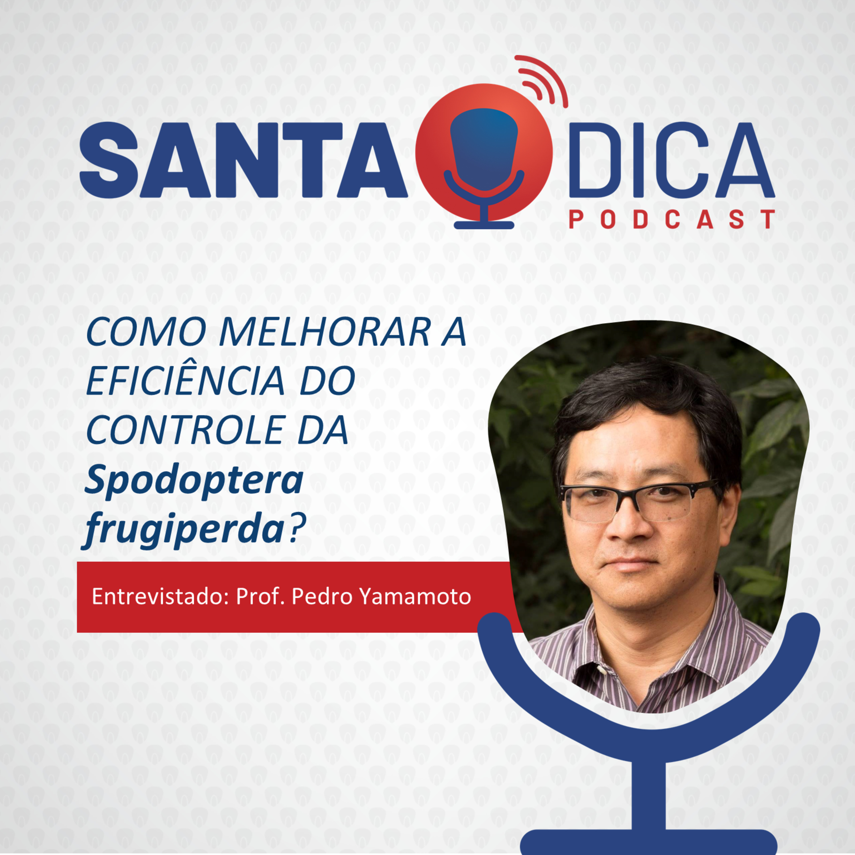 Santa Dica - O Podcast da Santa Helena Sementes