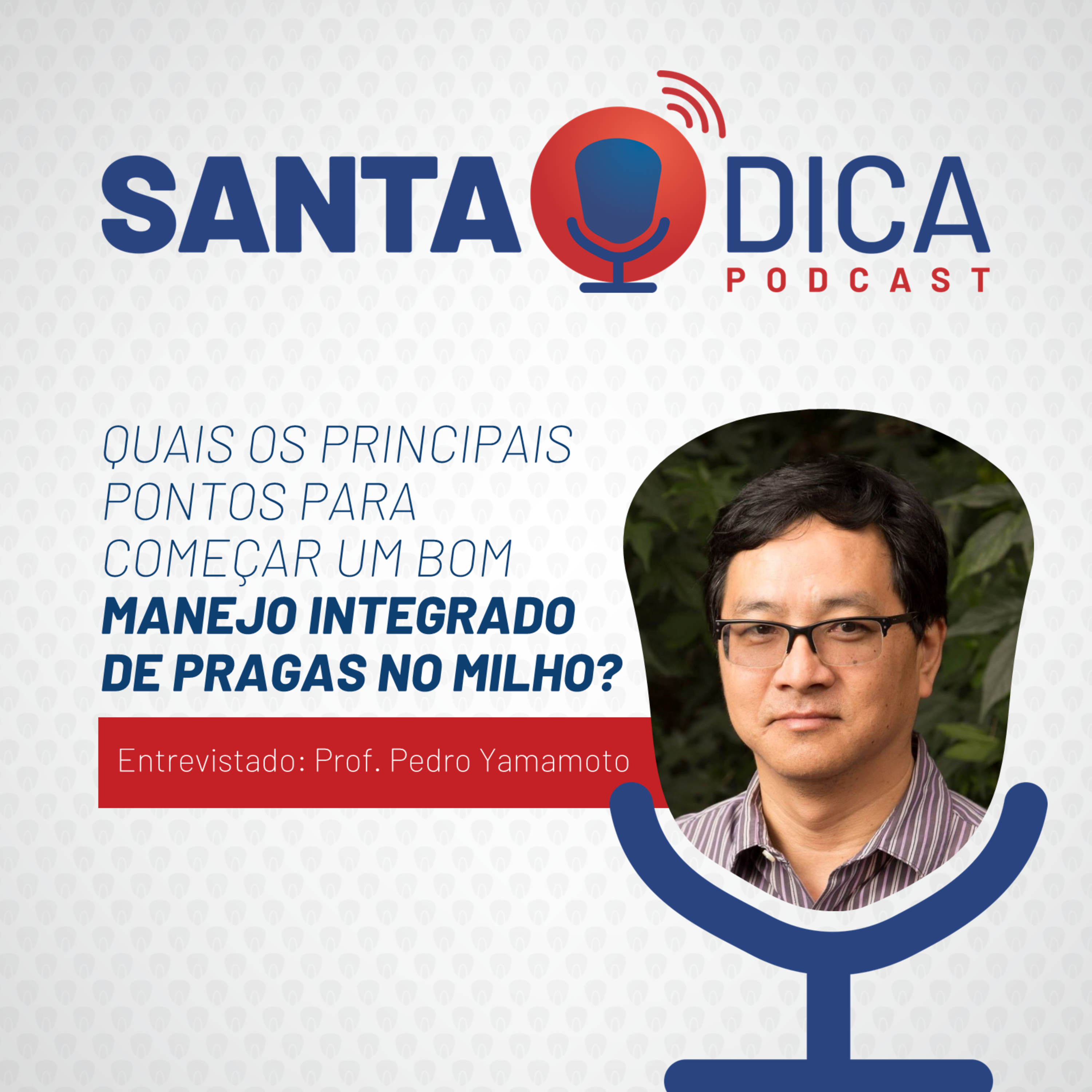 Santa Dica - O Podcast da Santa Helena Sementes