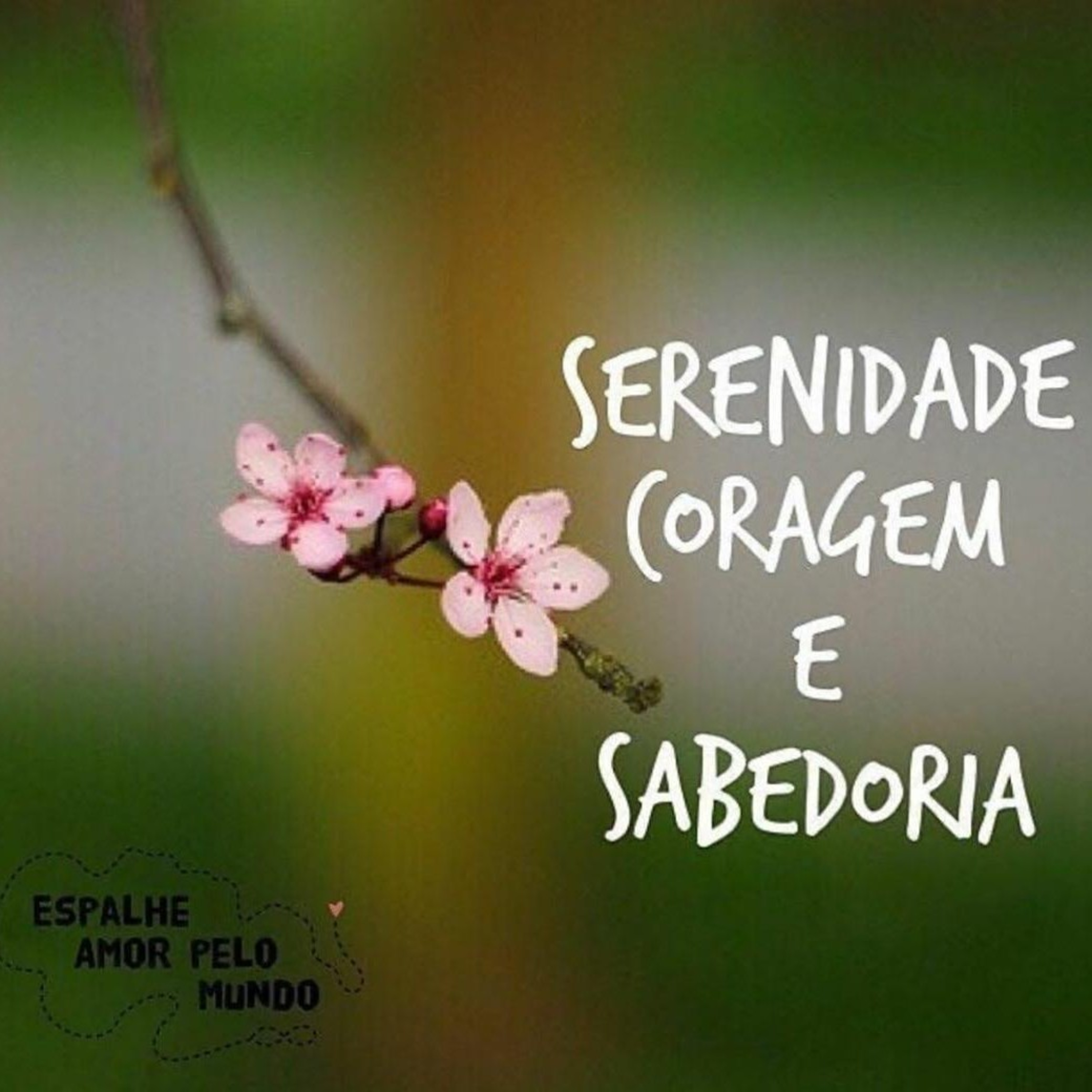 Ilustração episode artwork