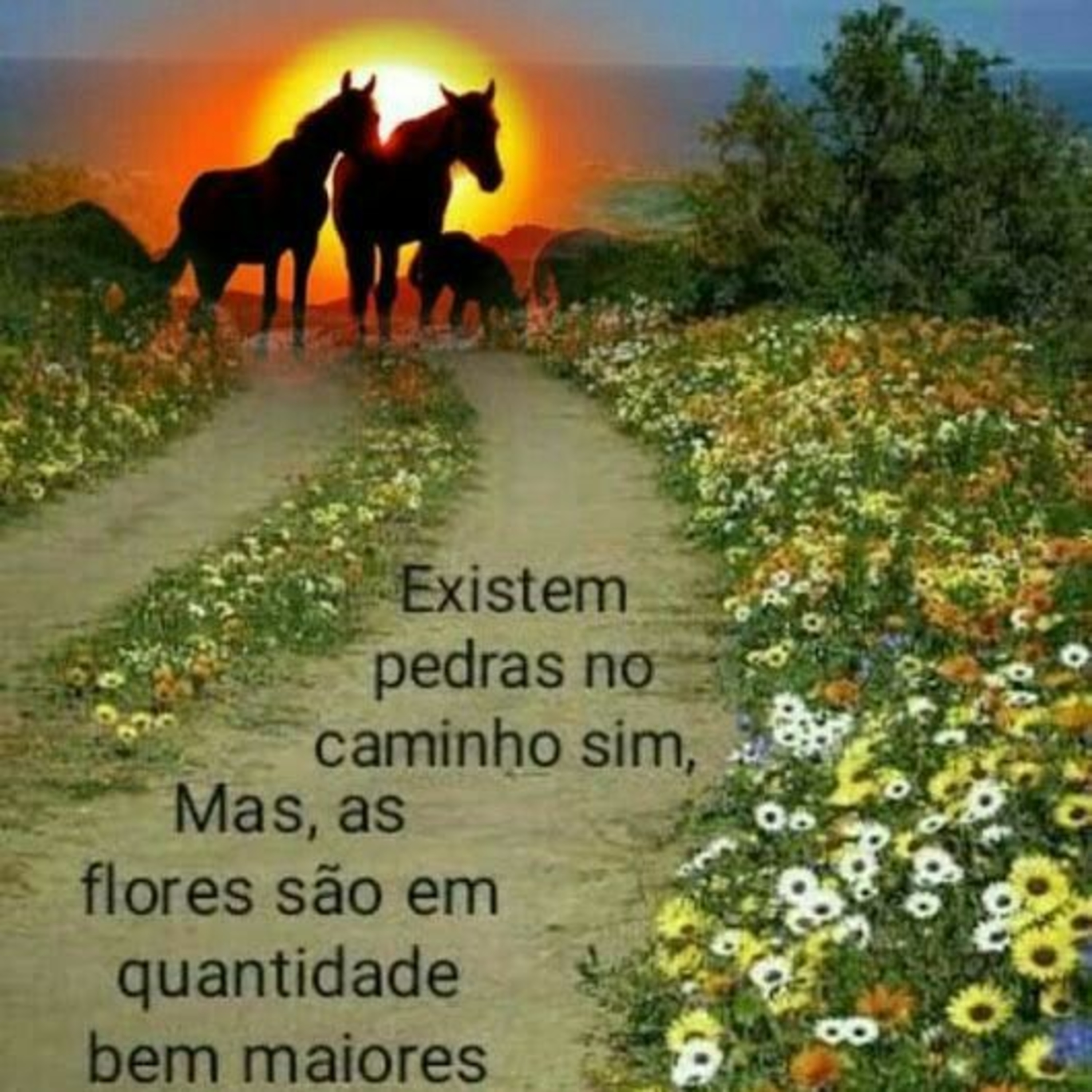 Ilustração episode artwork