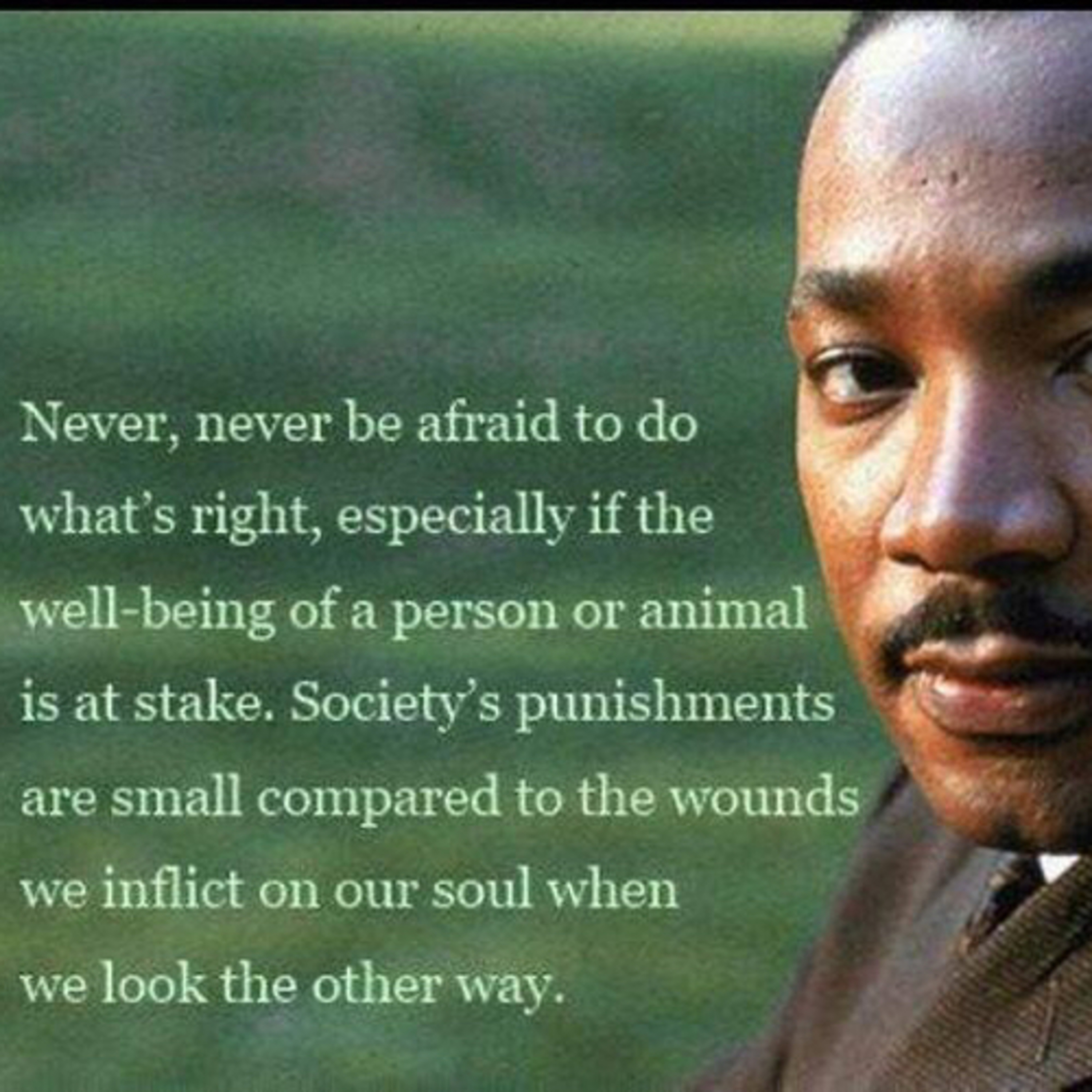 MLK Jr. Day Remembered episode artwork