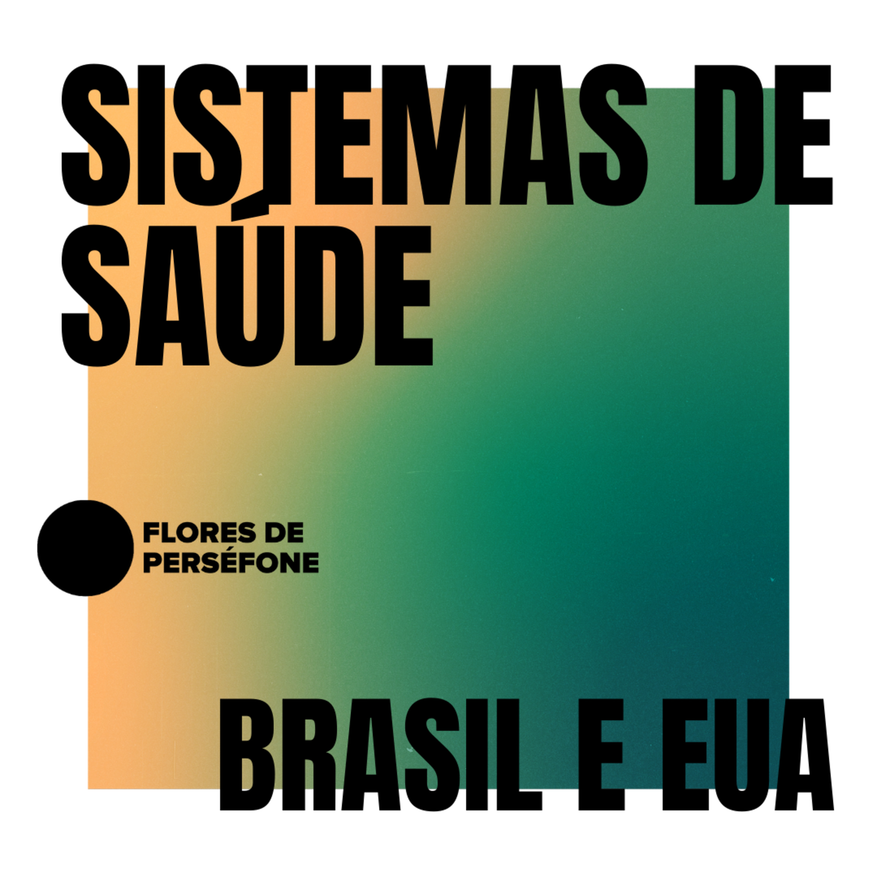 Sociologizando no CTISM