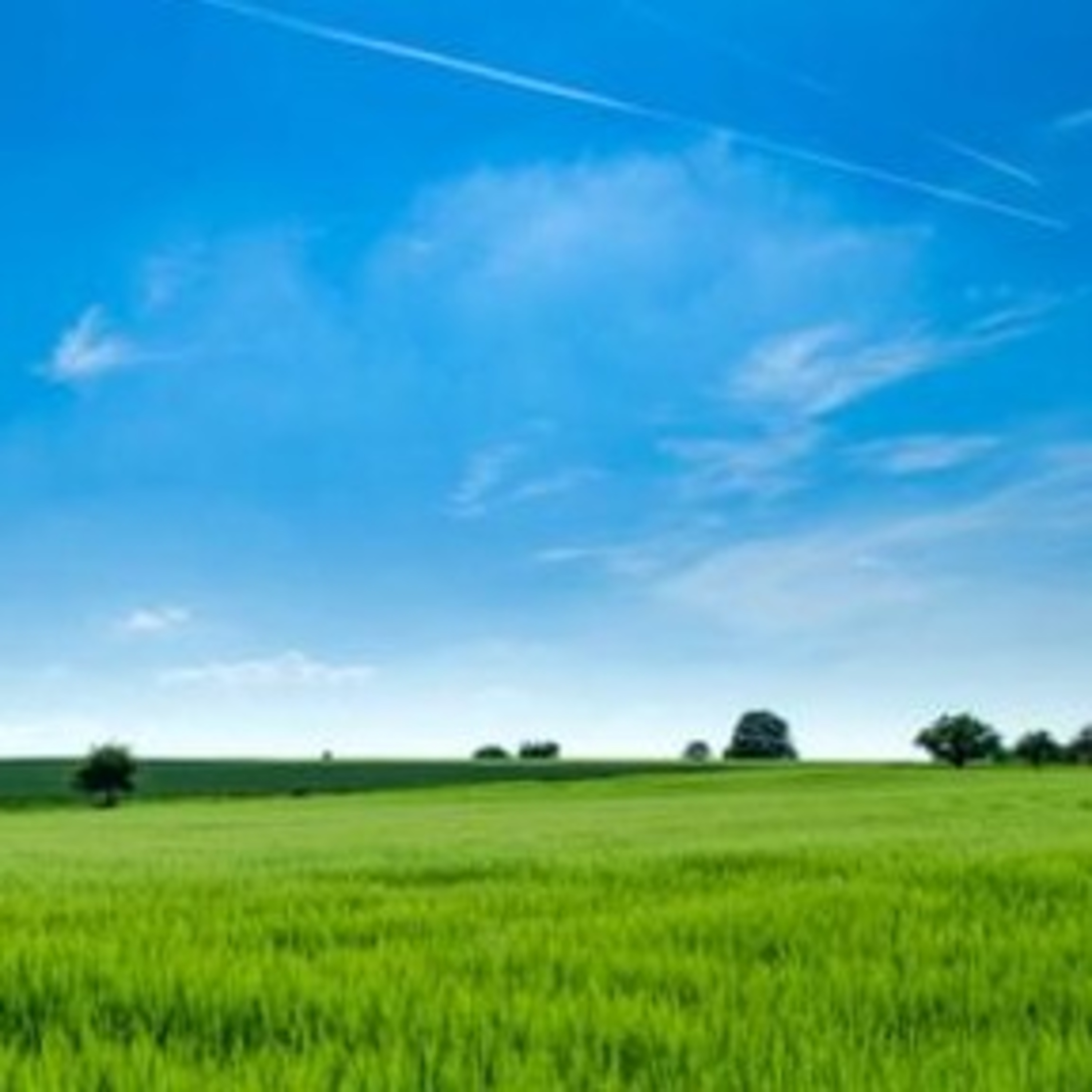 Health Journeying