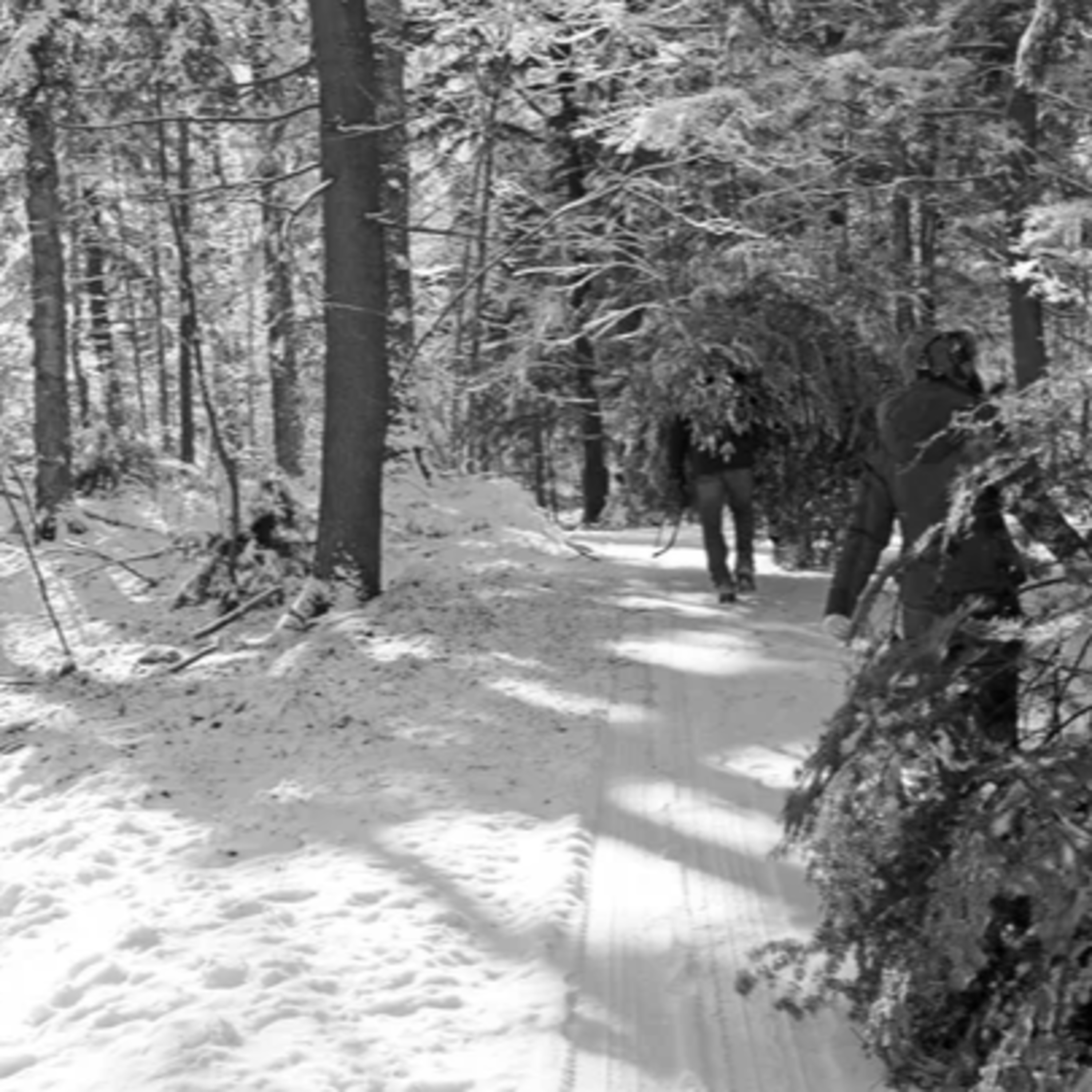 Ya' Gotta be Schmittin' Me - Memories of Christmas, Part I