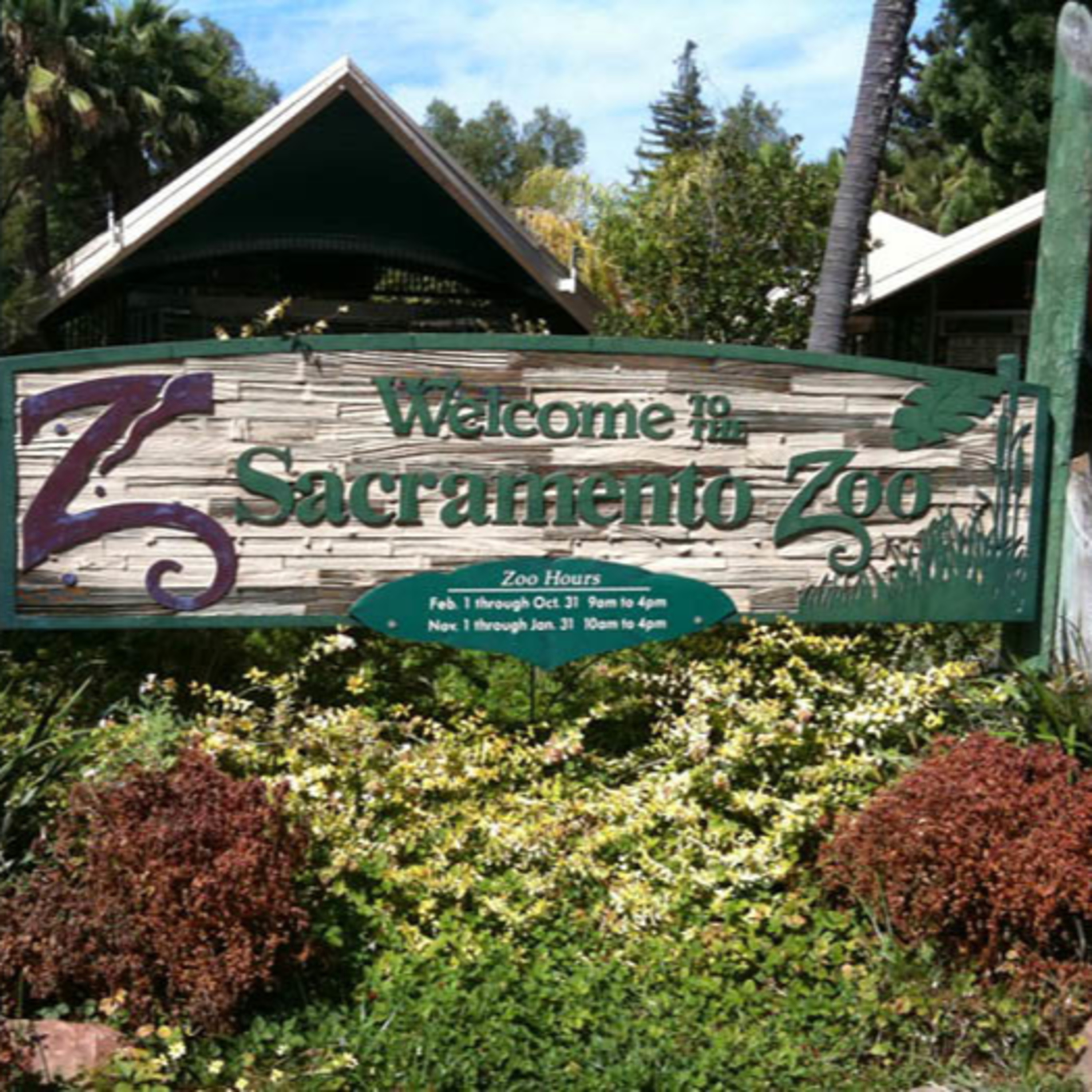 Elk Grove News Podcasts