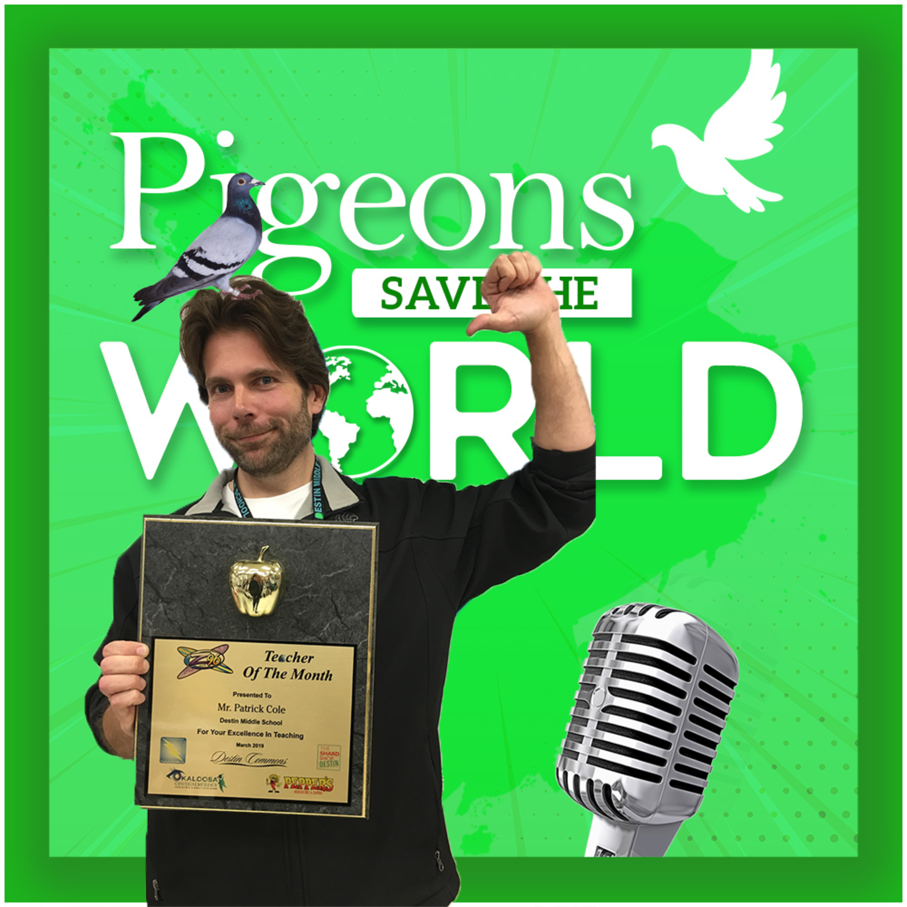 Pigeons Save The World