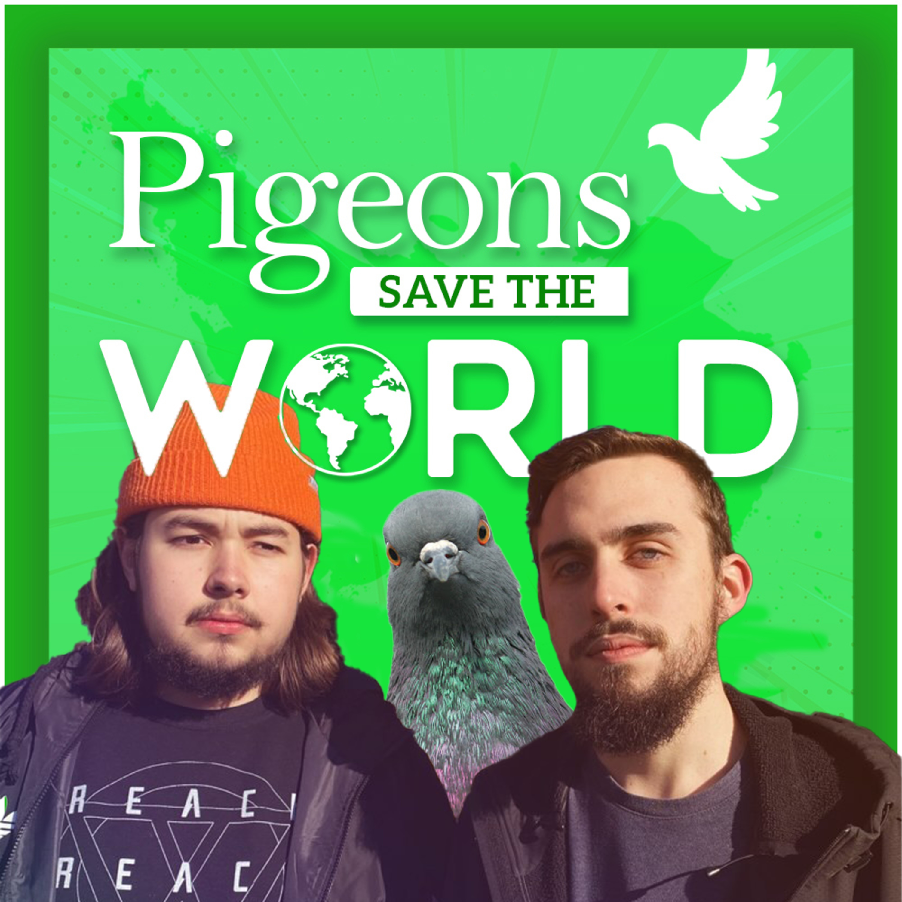 Pigeons Save The World