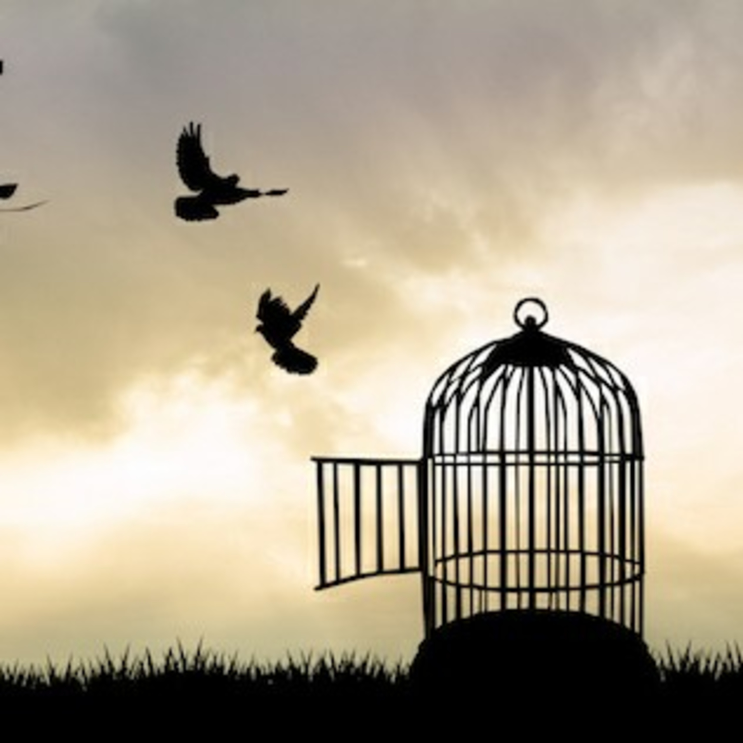 Holistic Talk with Shareta Berry