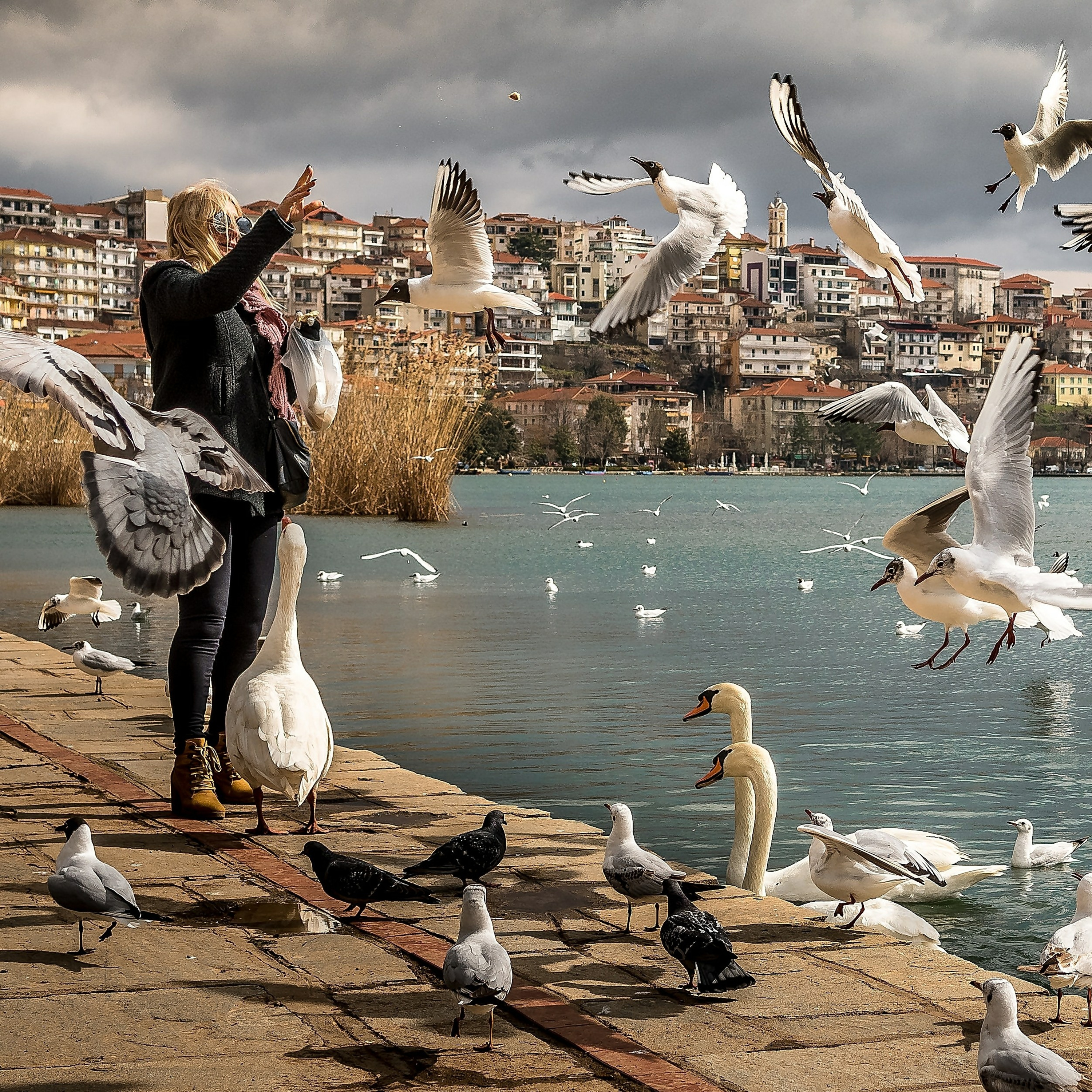 Holistic Talk with Shareta Berry