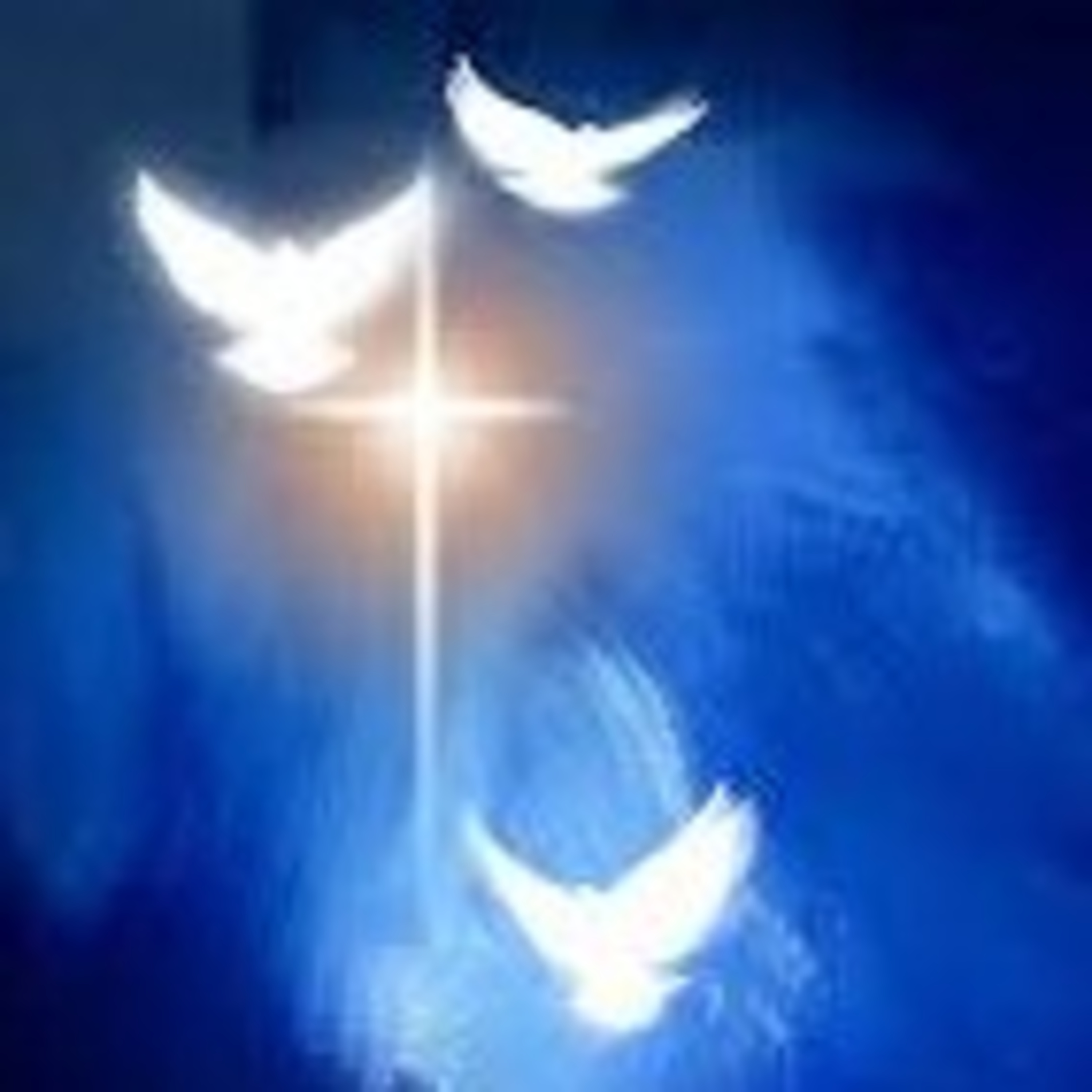 Holistic Talk with Shareta Berry