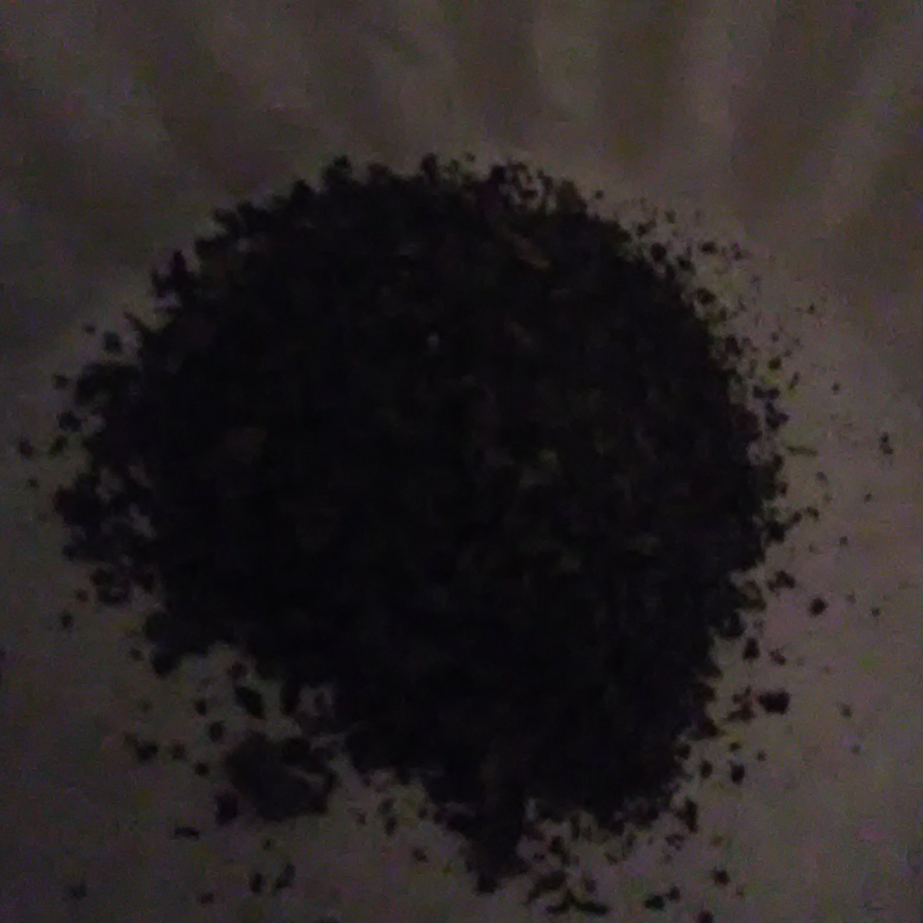 Holistic Talk with Shareta Berry