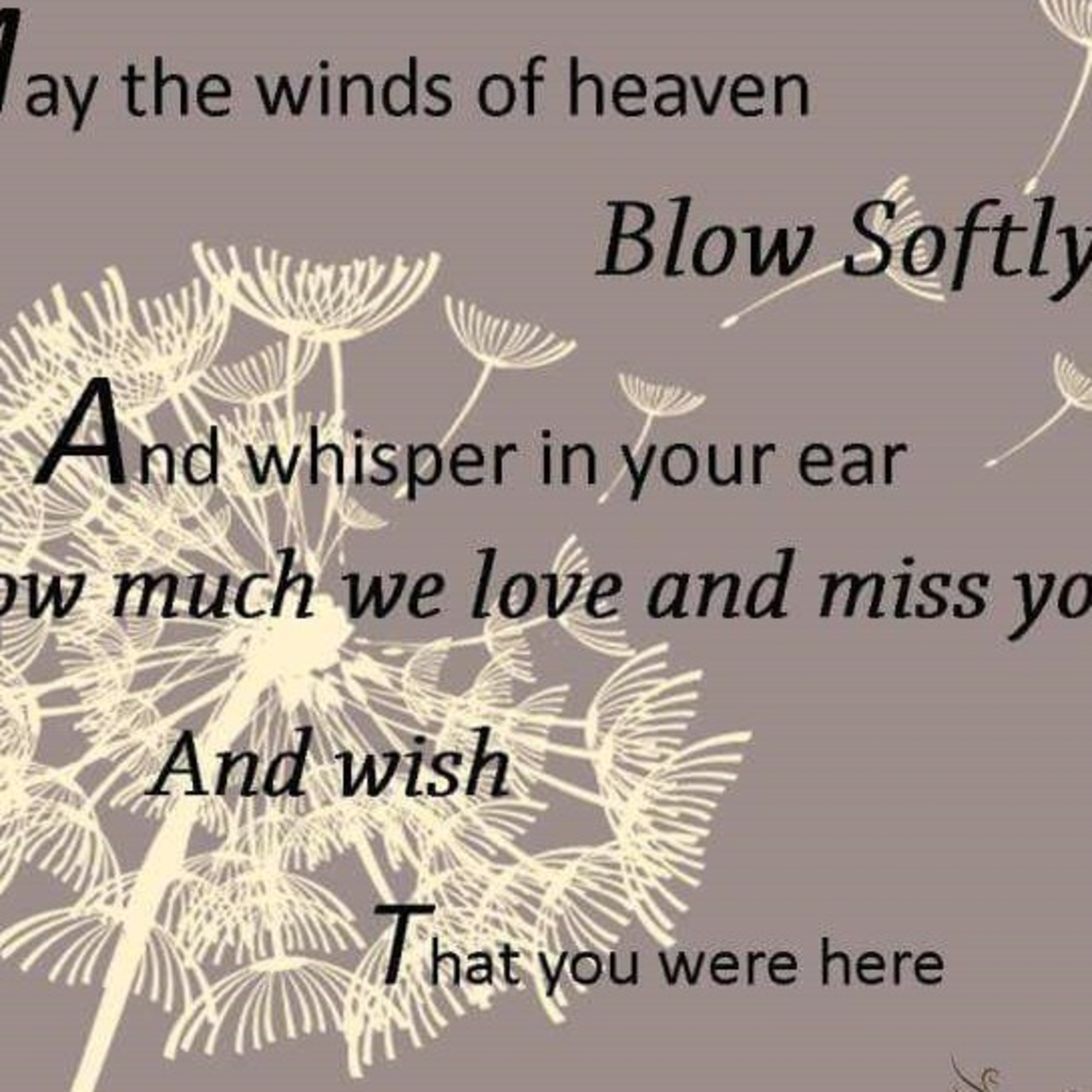 Holistic Talk with Shareta Berry