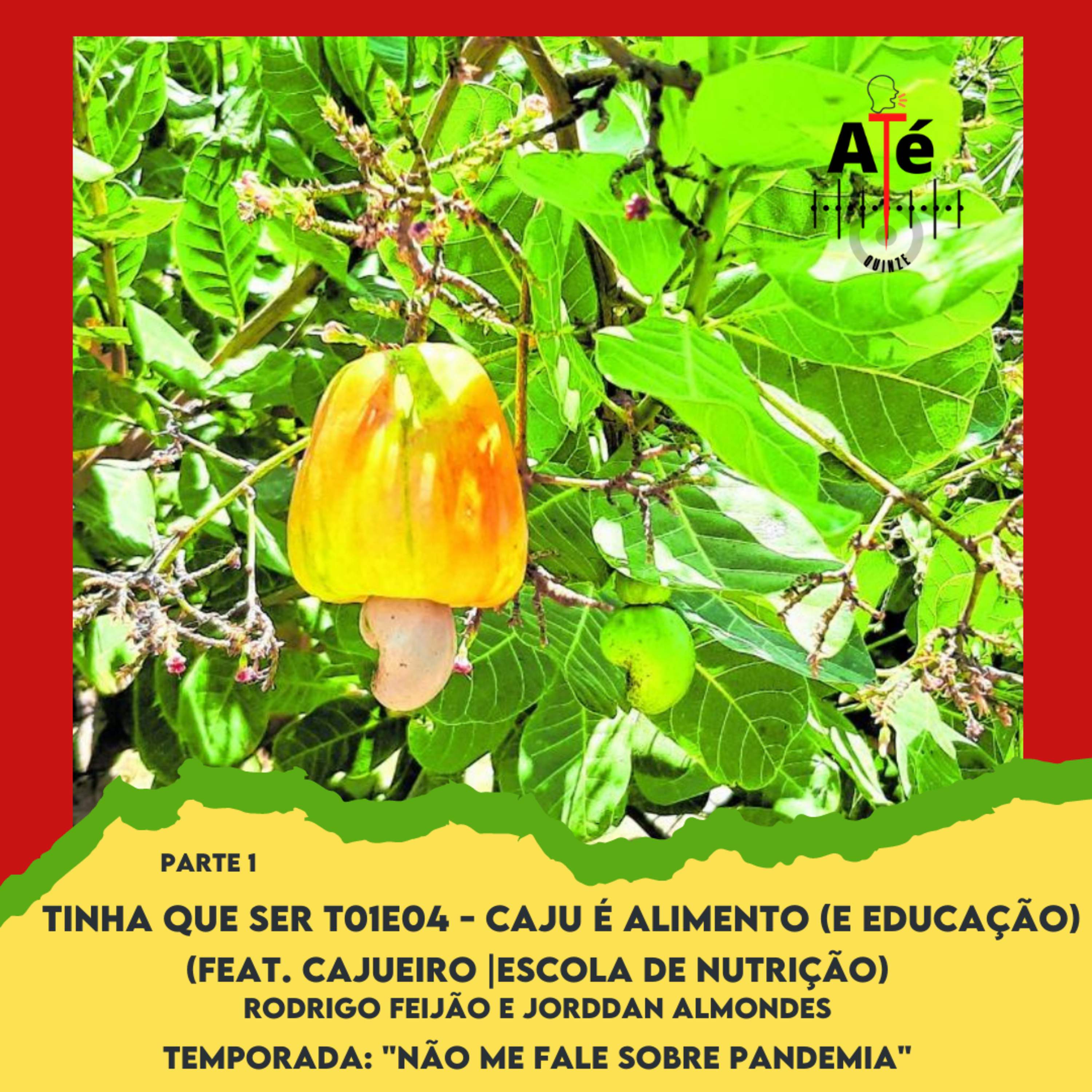 Conte Até 15