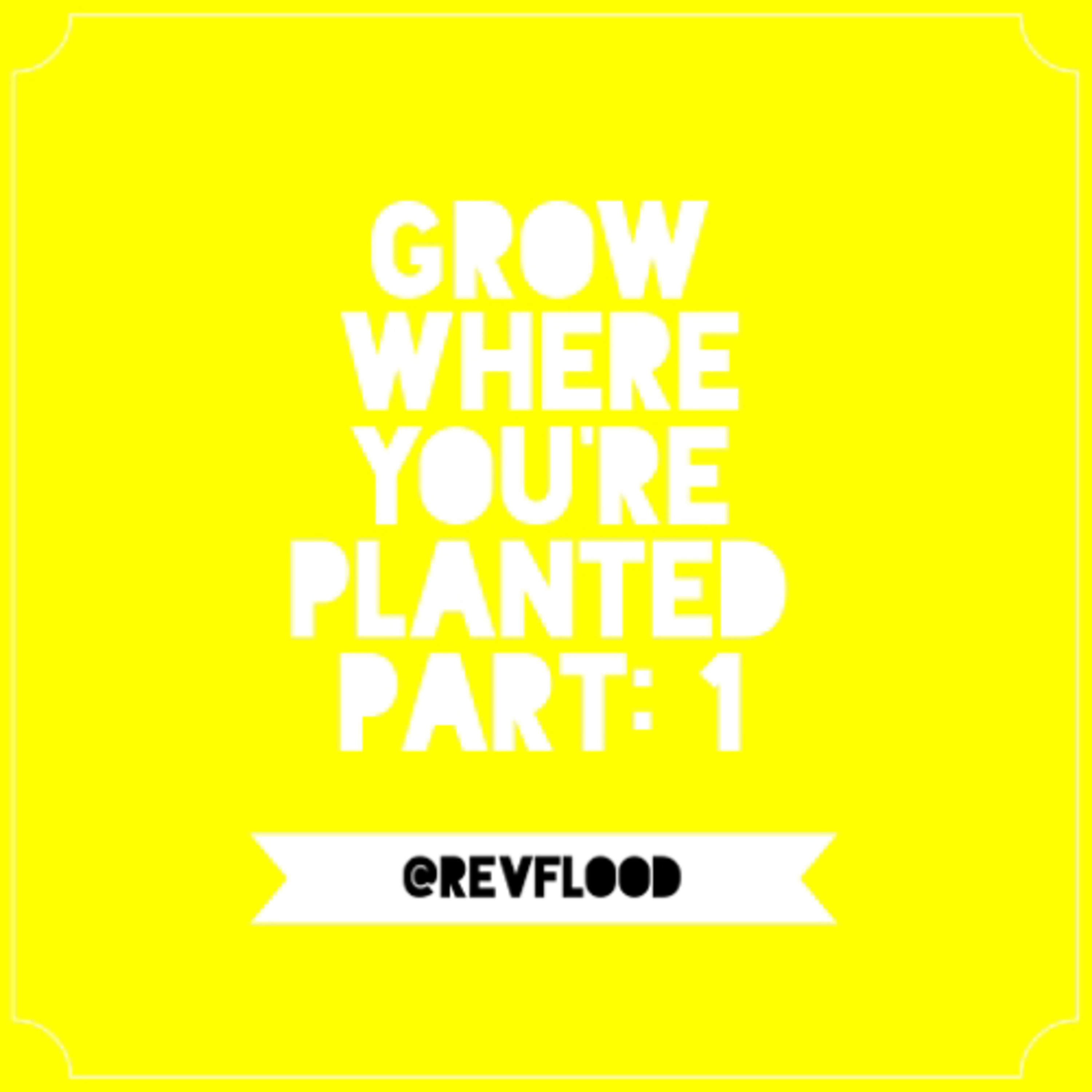 Episode 9: Grow Where You’re Planted Part: 1