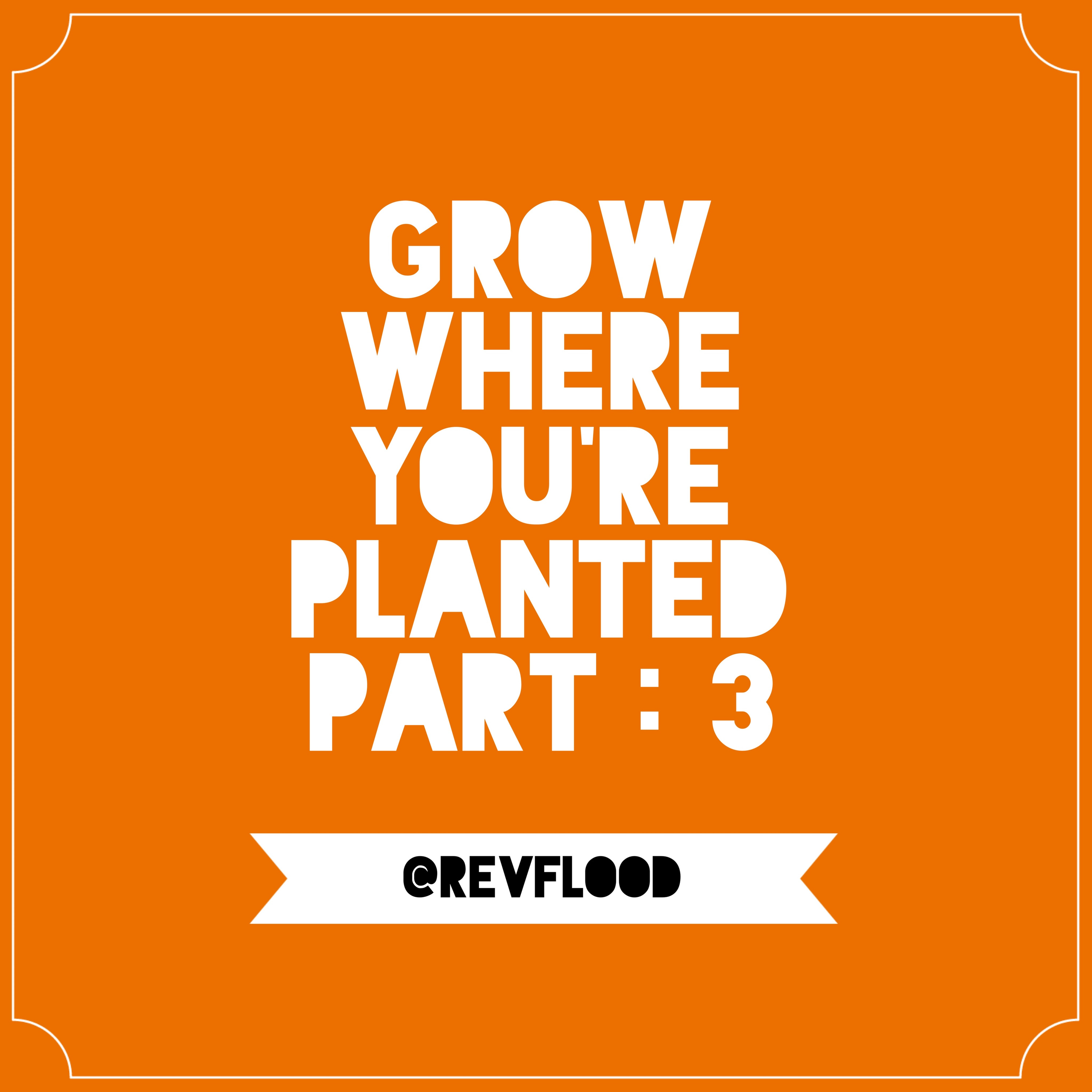 Episode 11: Grow Where You’re Planted Part: 3