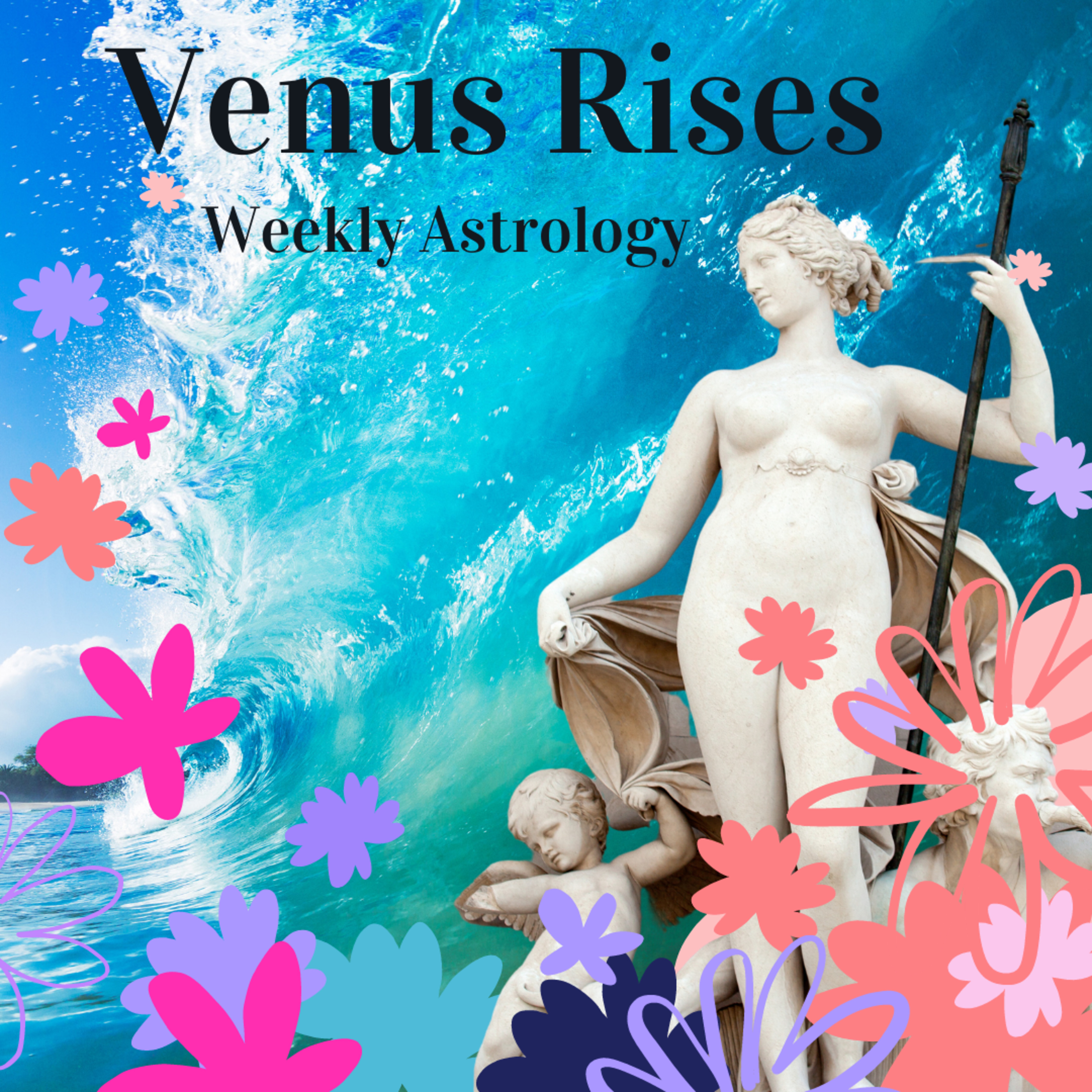Venus Rises