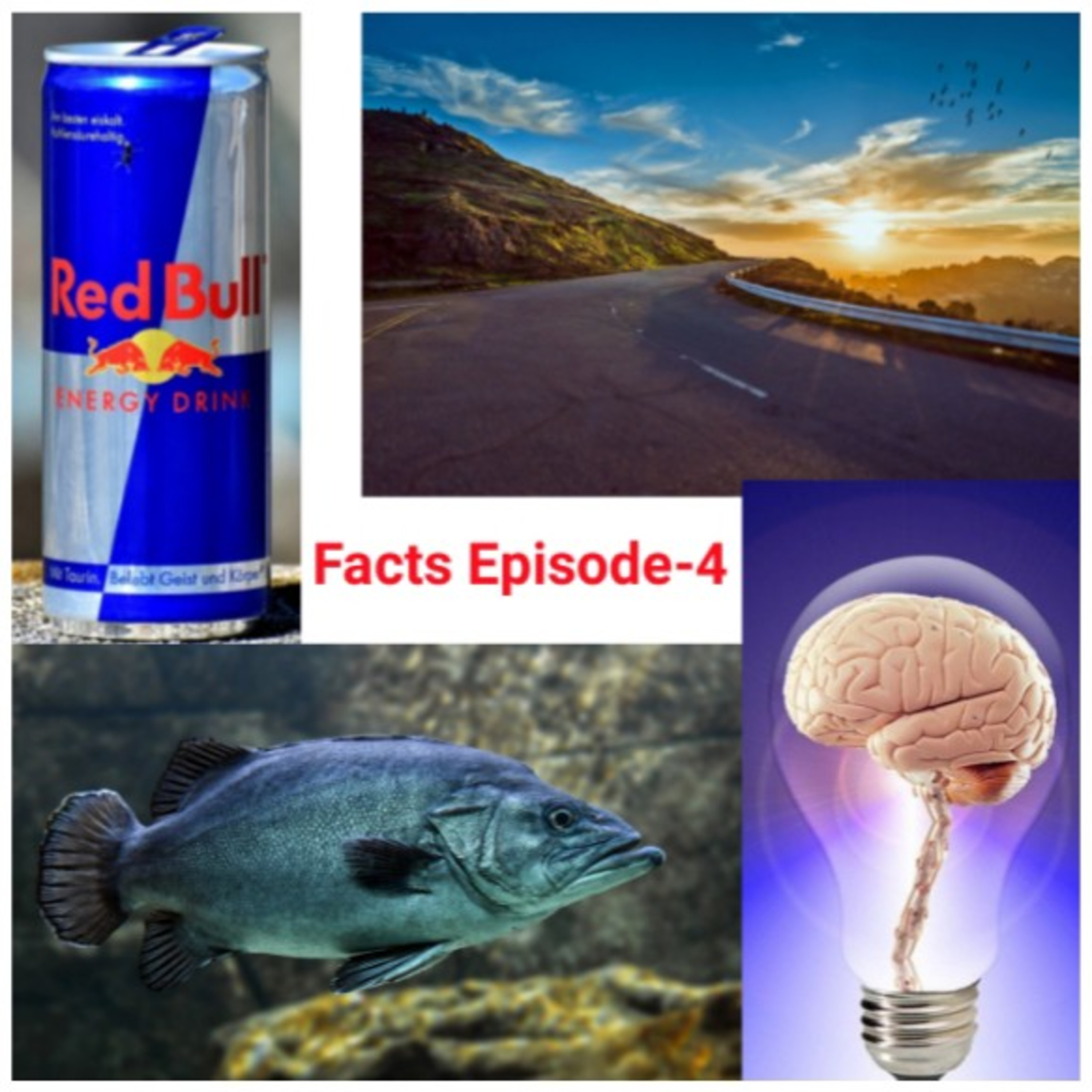 Facts Zone