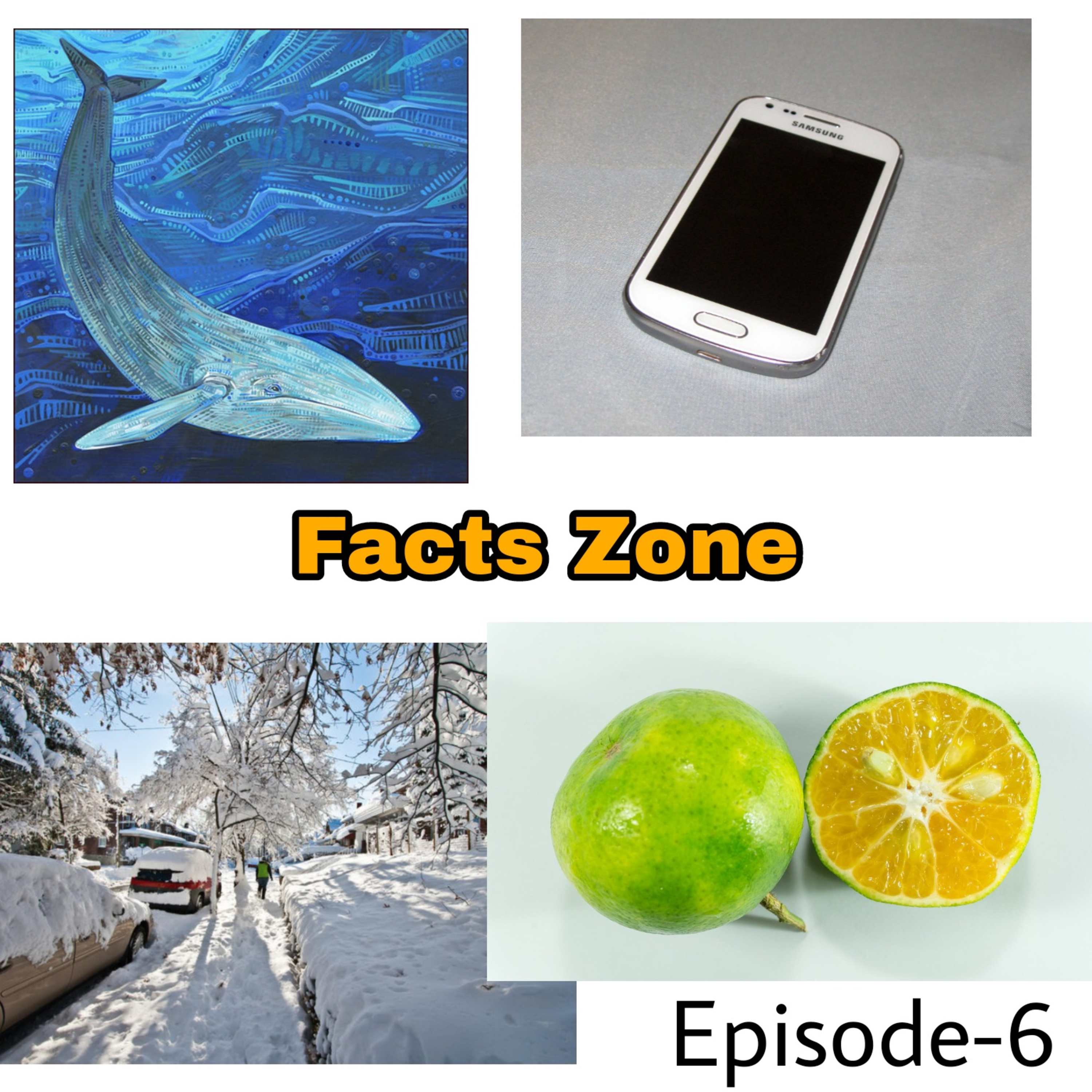 Facts Zone