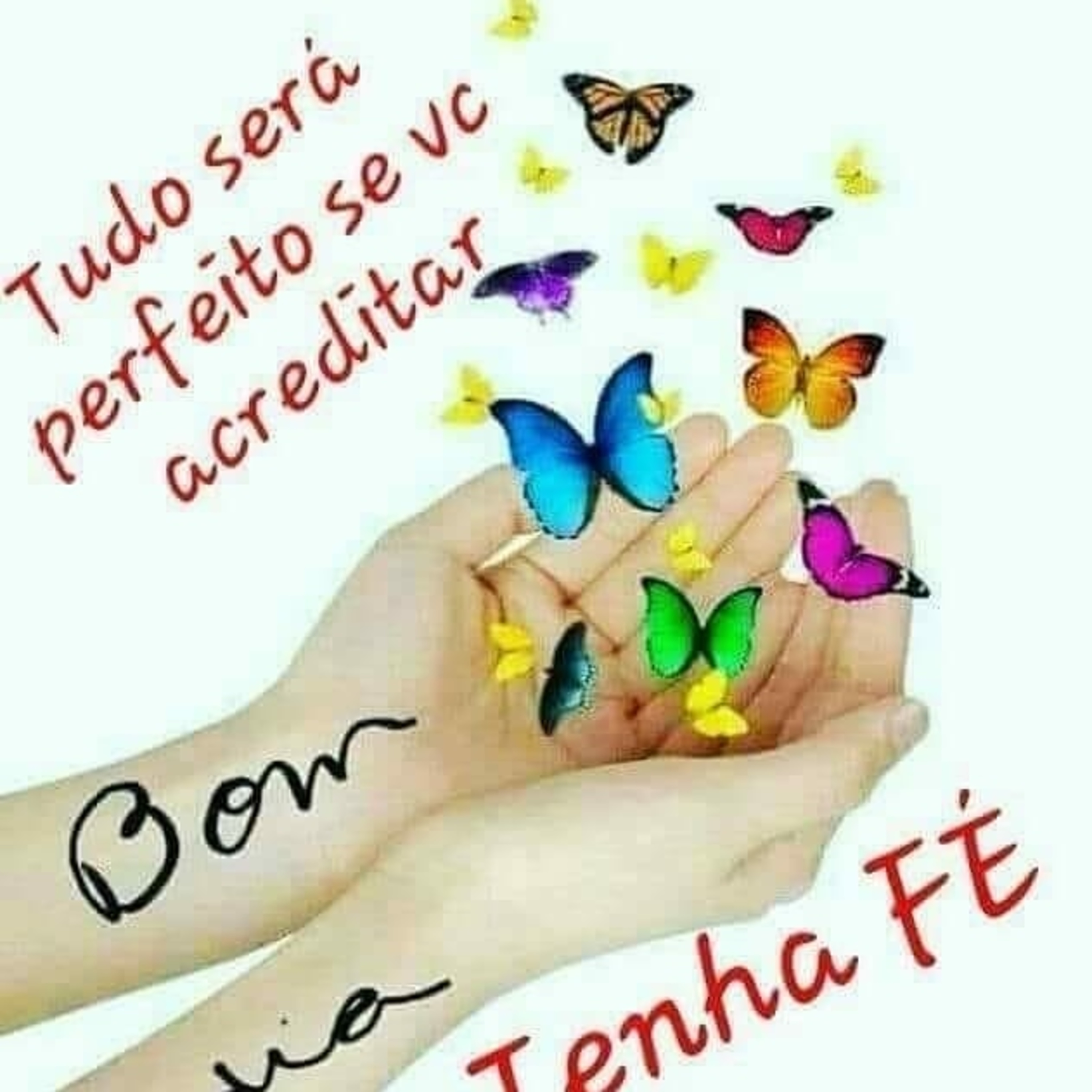 8 anos