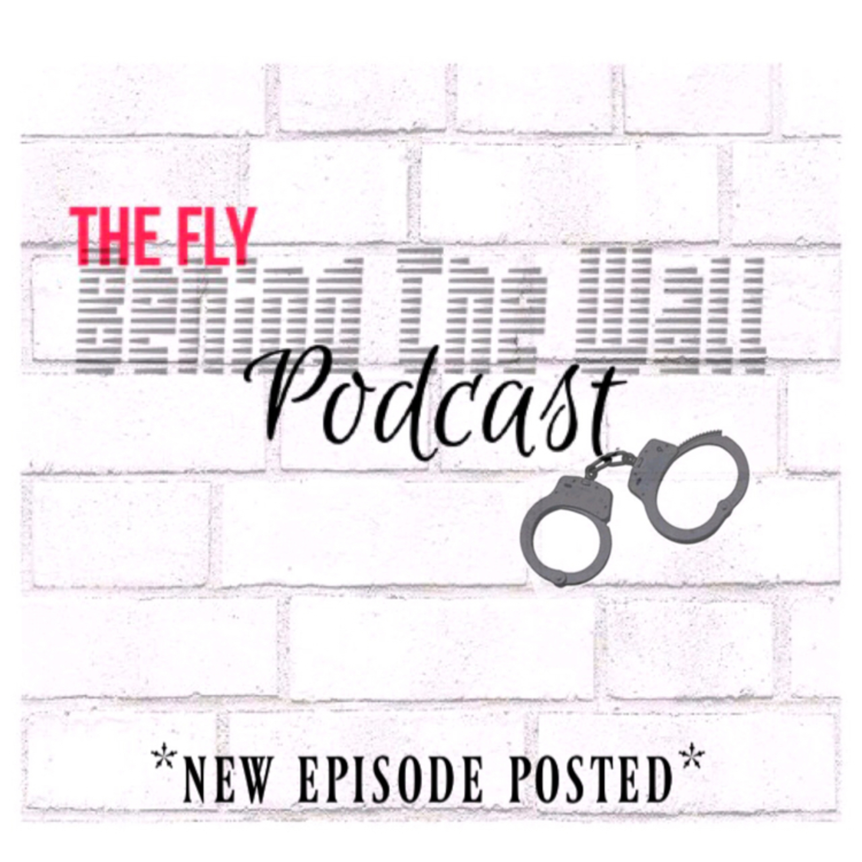 The Fly Behind The Wall
