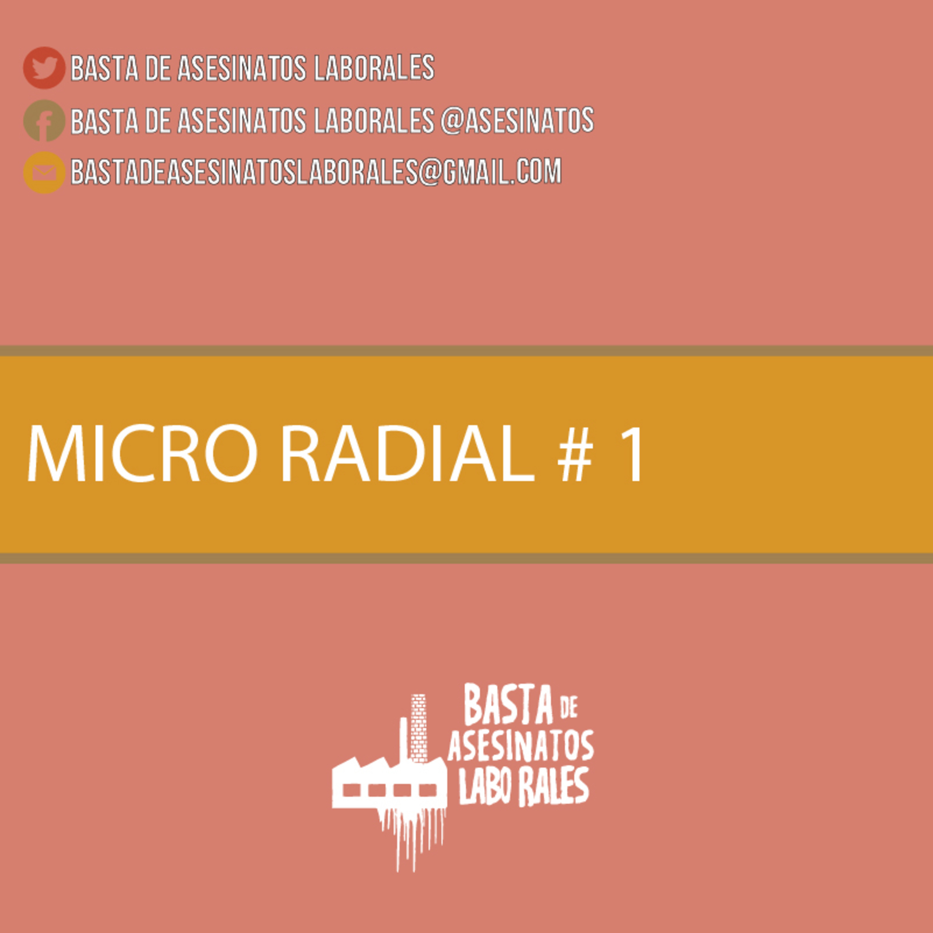 📻 🎙️ MICRO RADIAL BAL