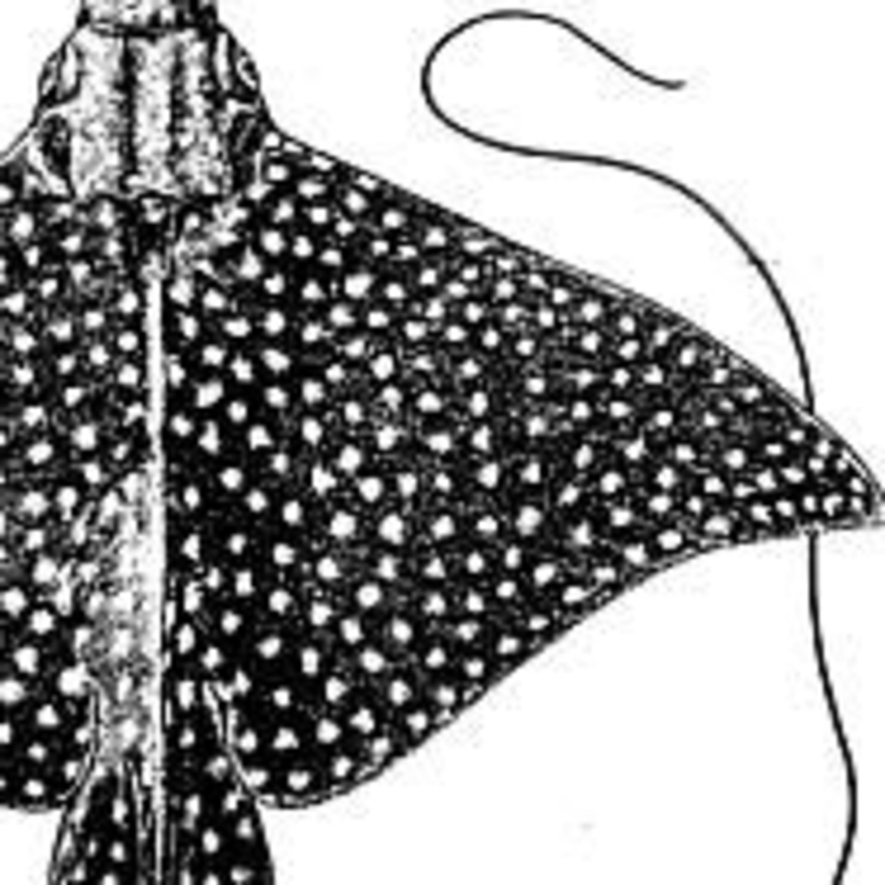 Episode 16 - Mantra ray (ambient audio podcast) episode artwork