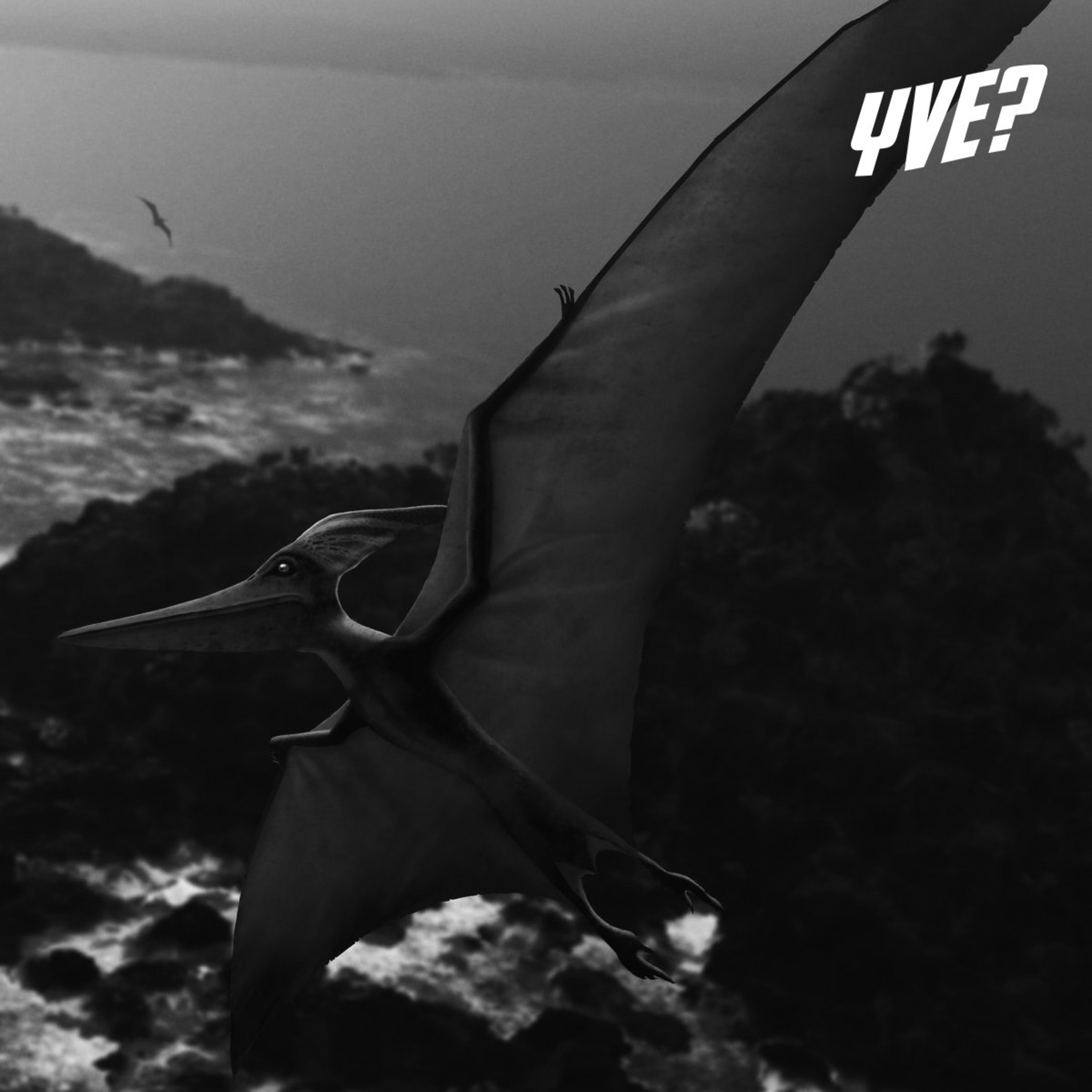 Oye, ¿ya viste esto?