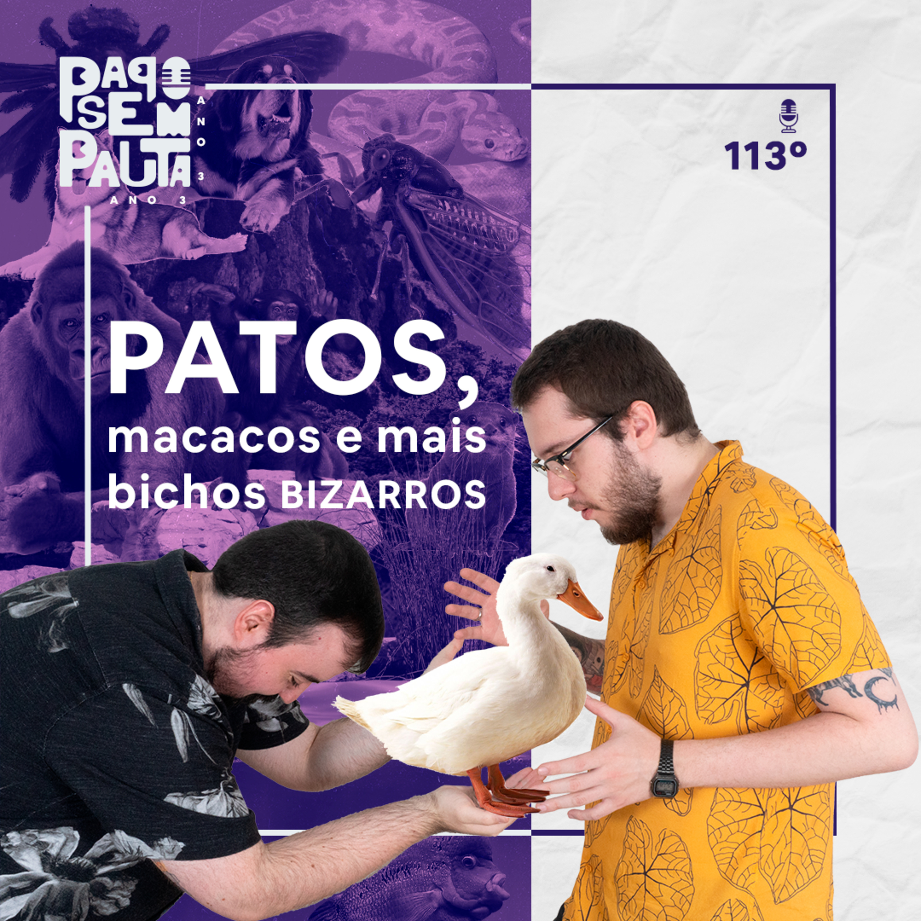 Ep. 113: Patos, Macacos e mais bichos bizarros episode artwork