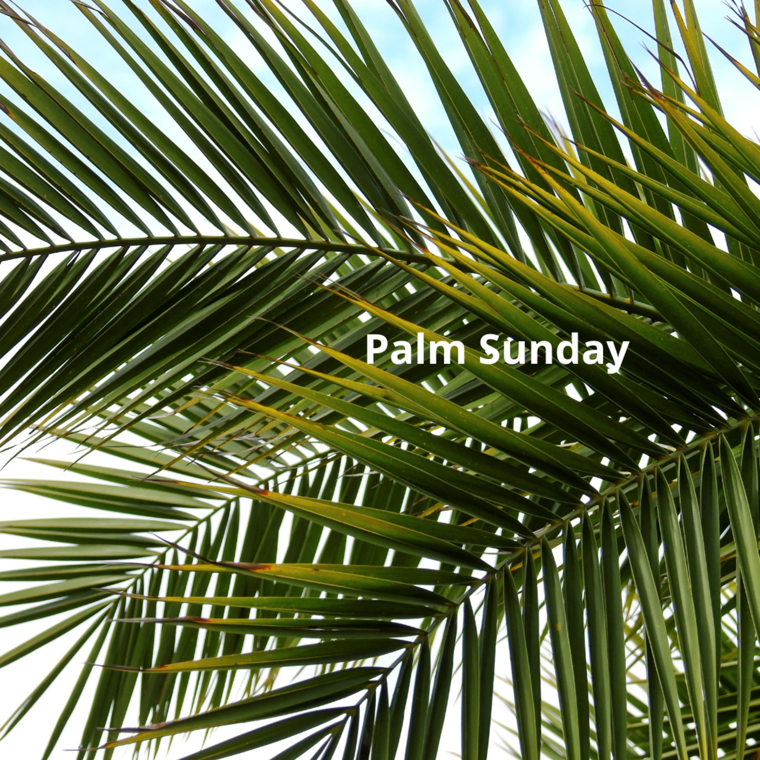 Today\'s Word