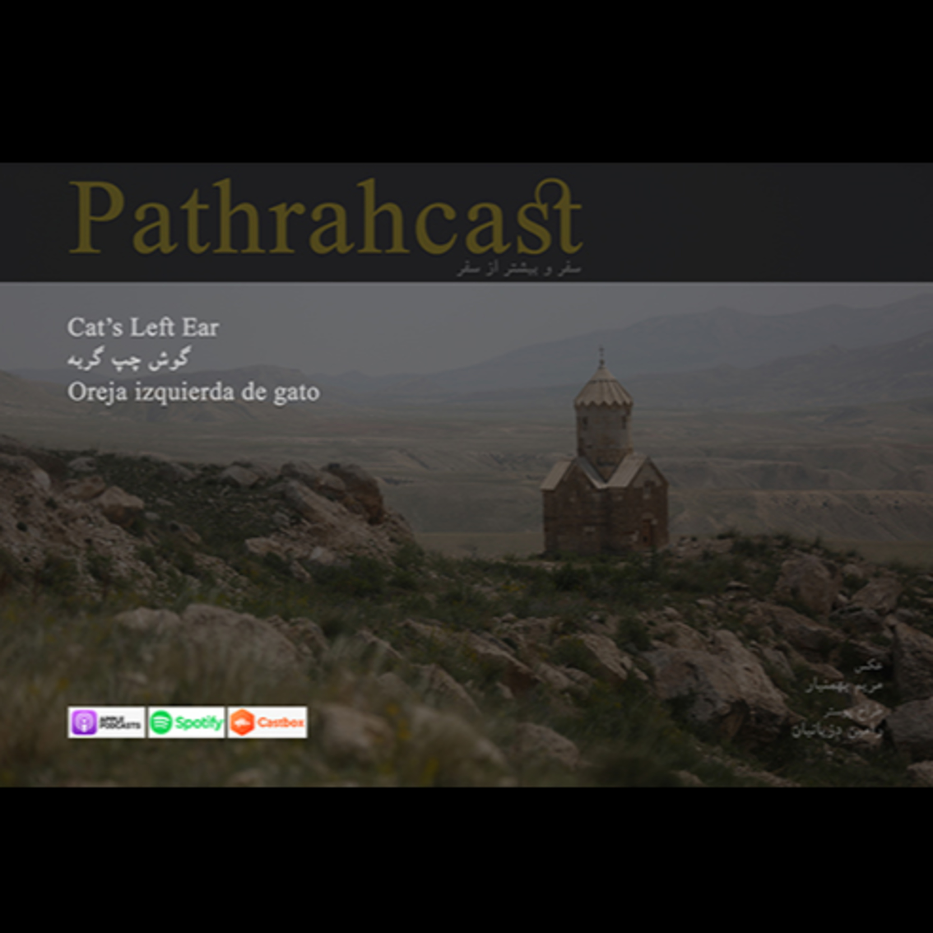 گوش چپ گربه