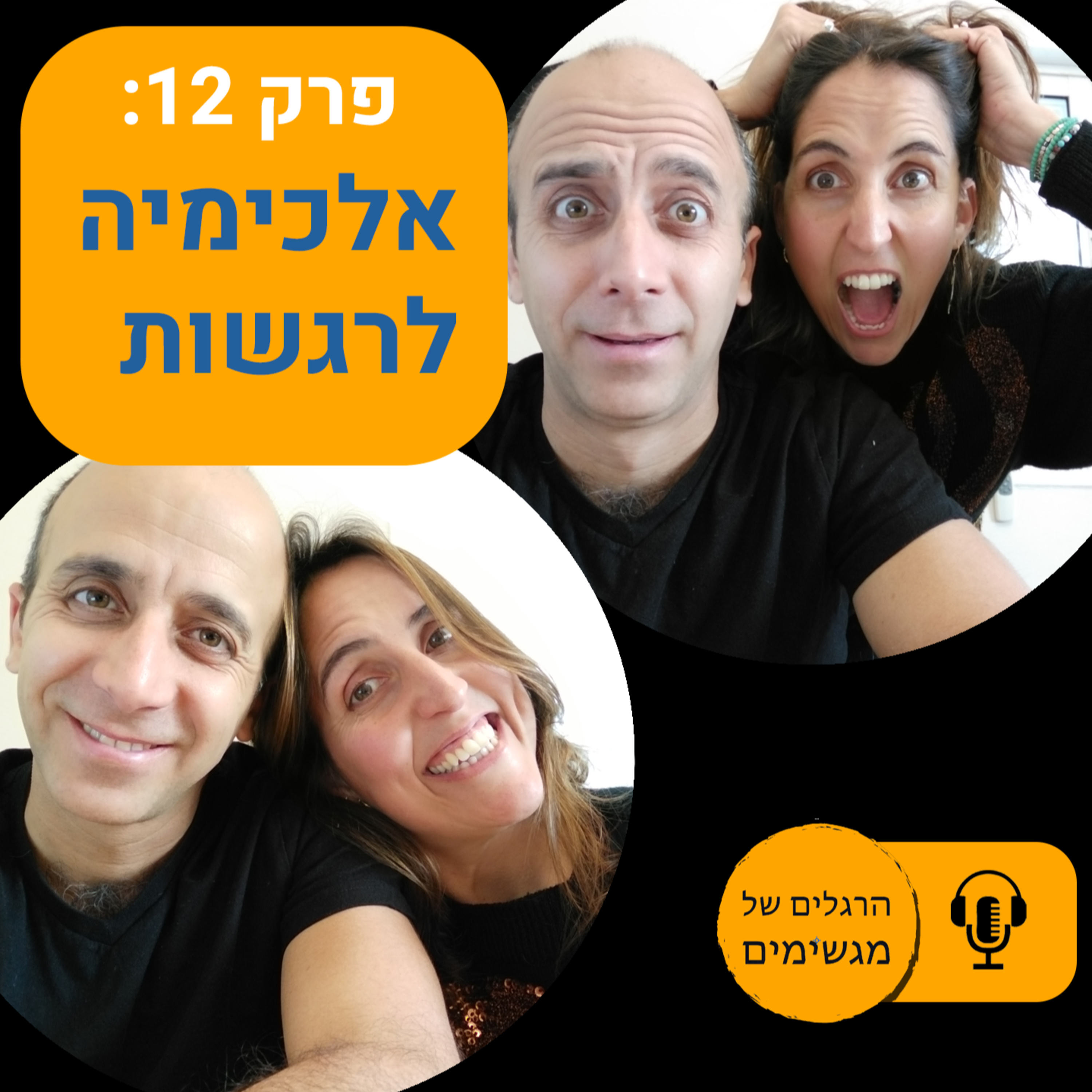 אלכימיה לרגשות - התמרת רגשות קשים ולא נעימים בחמש דקות episode artwork