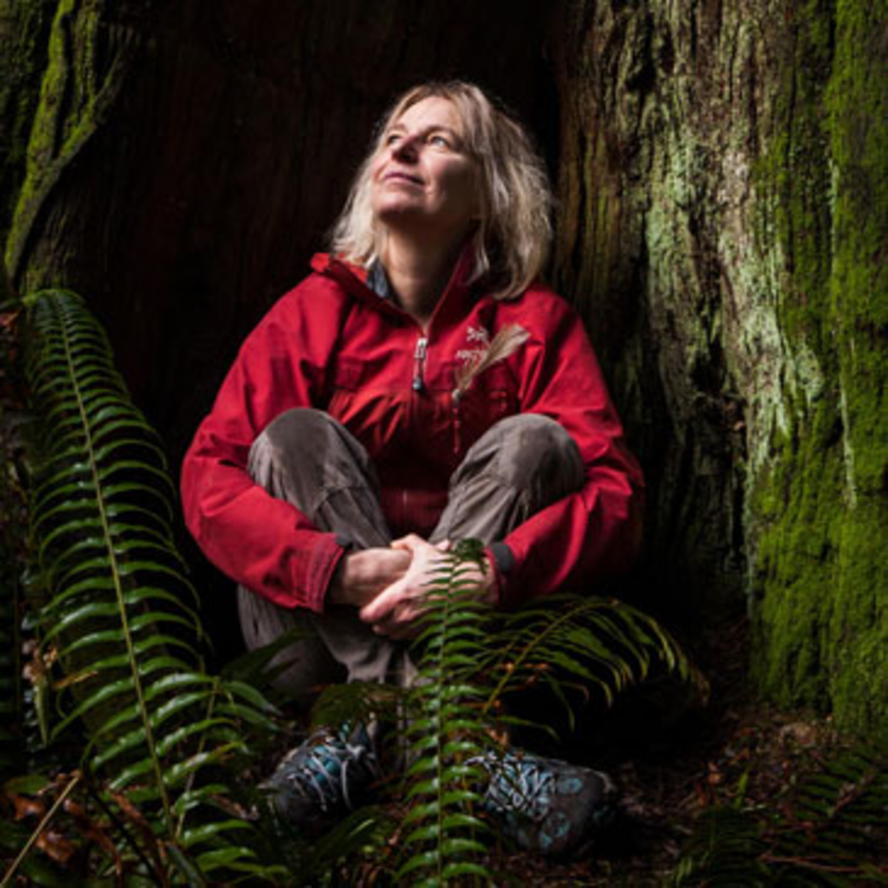 Sustainability Now! on KSQD.org