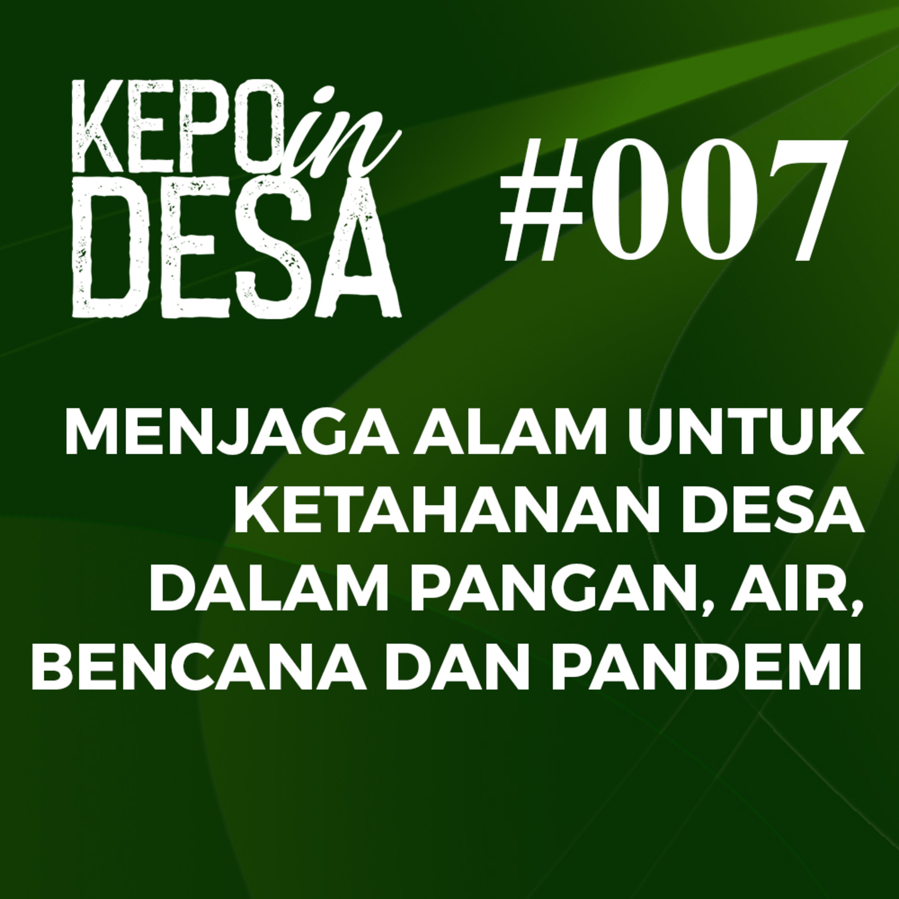 TV Desa