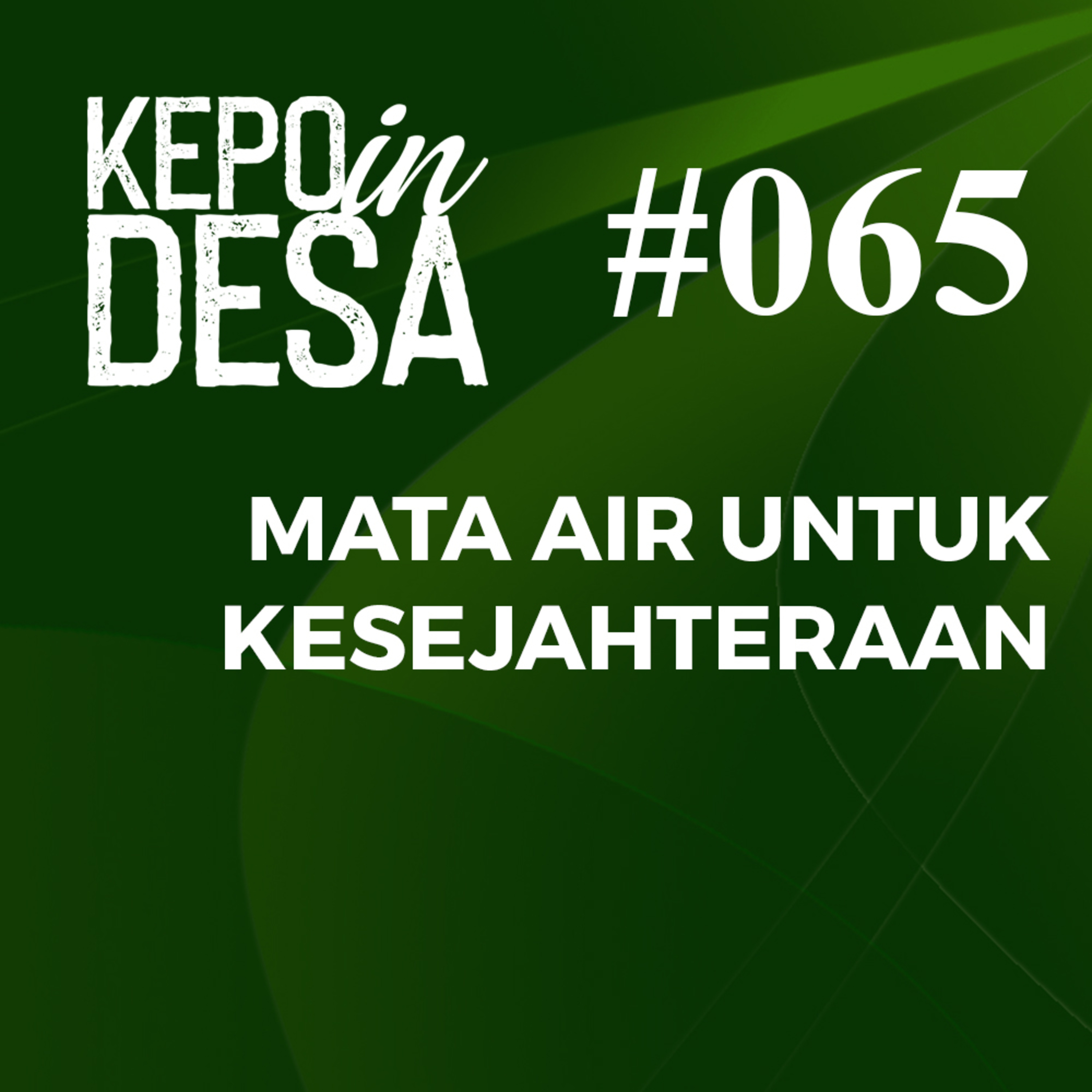 TV Desa