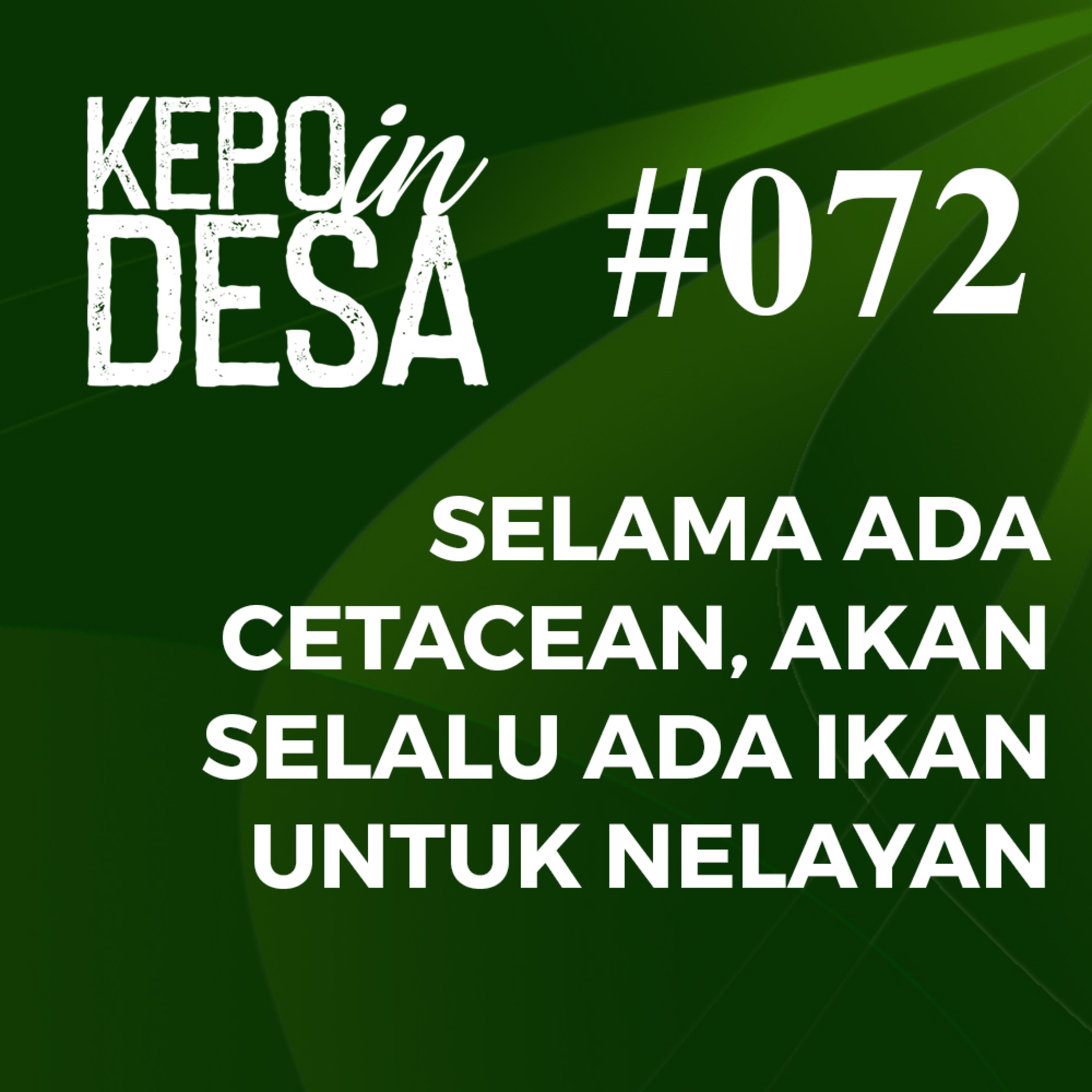TV Desa
