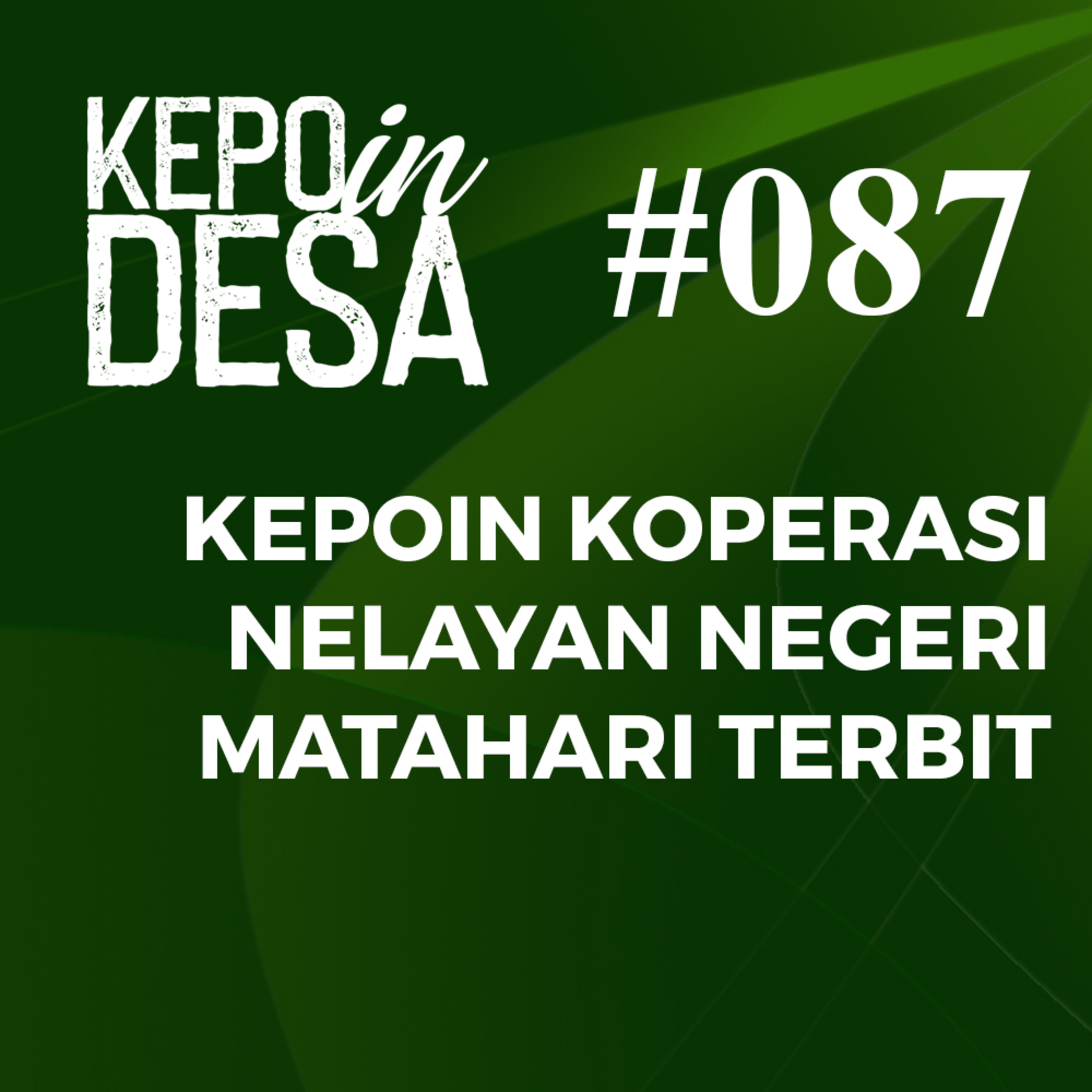 TV Desa