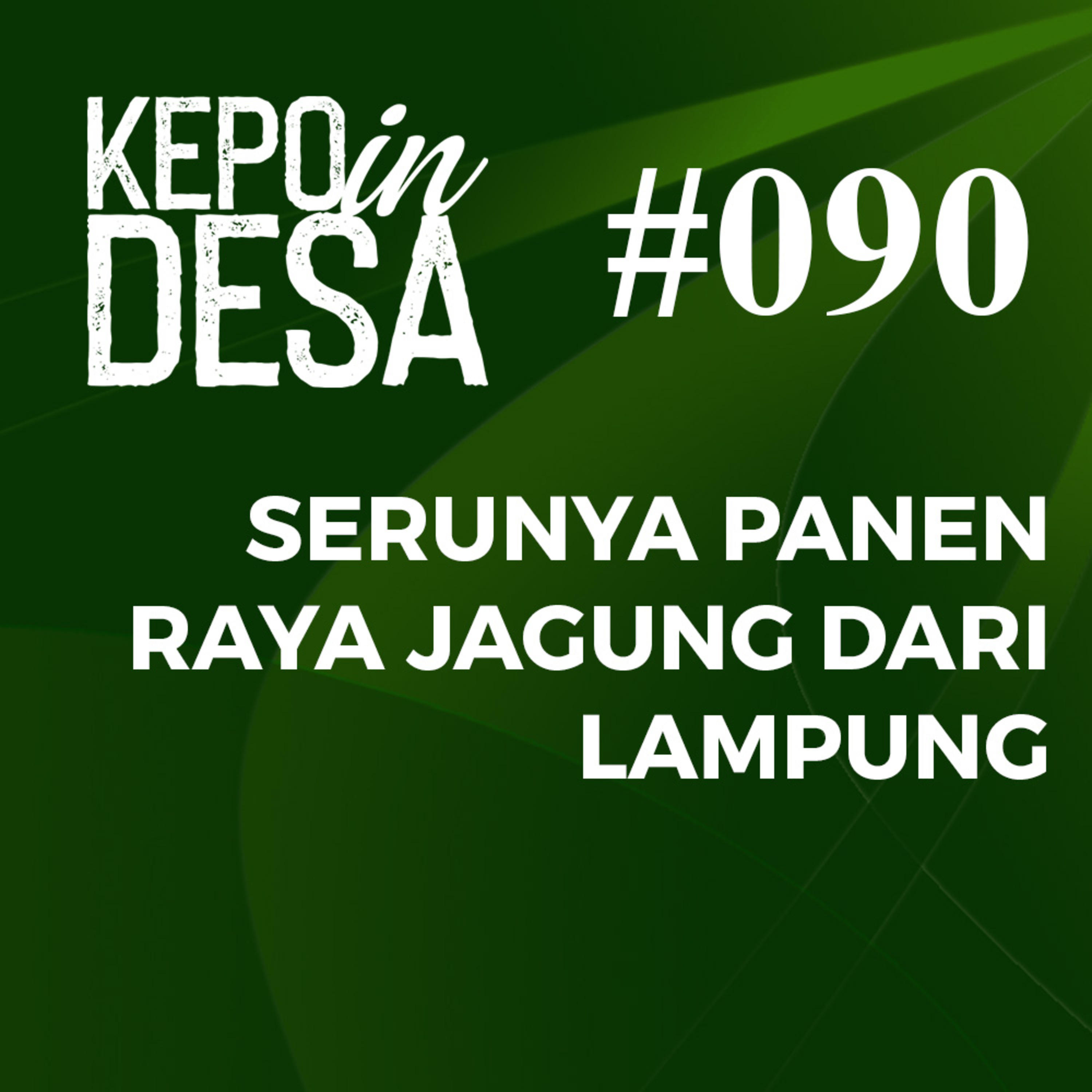 TV Desa