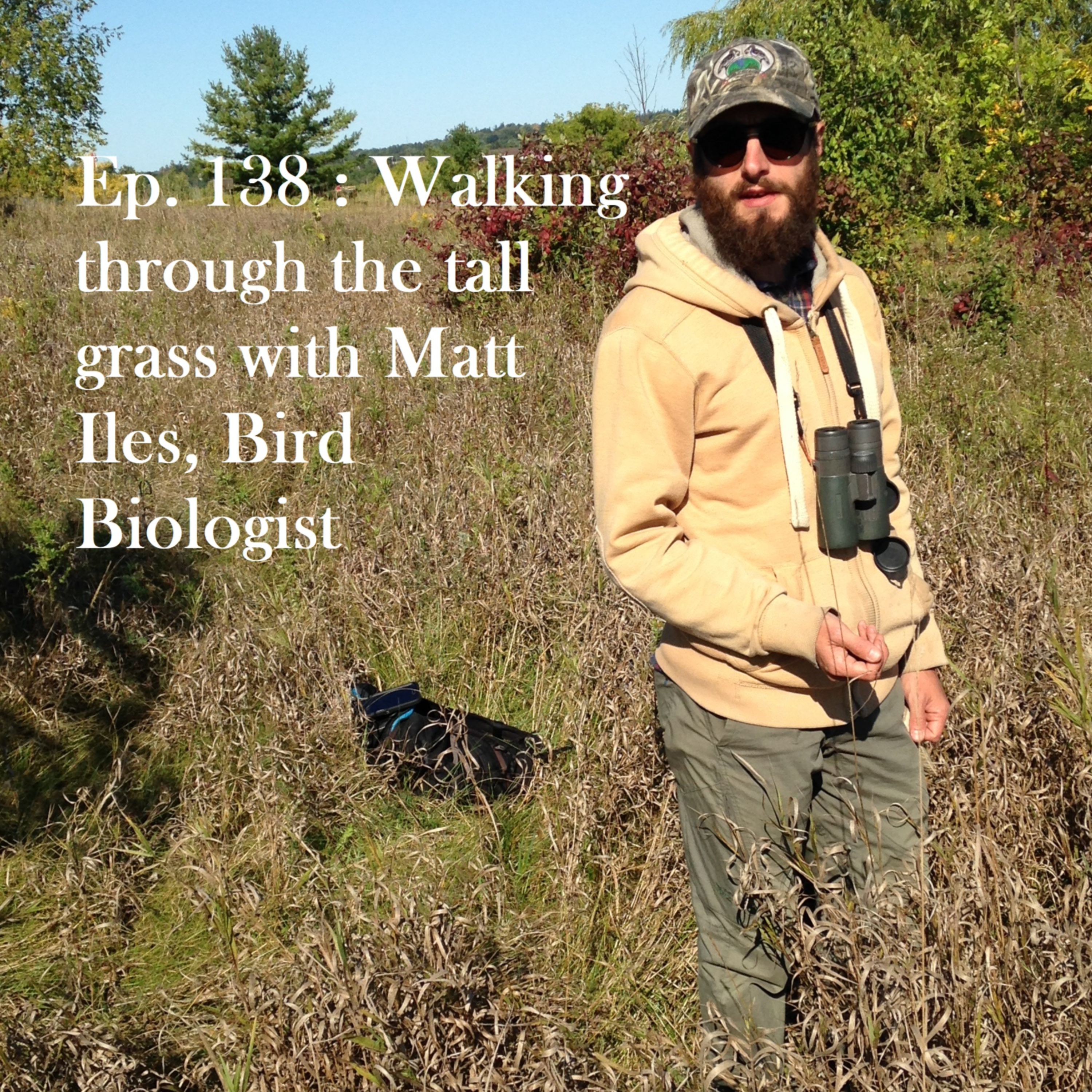 Episode 138 : Walking through the tall grass with Matt Iles, Bird Biologist episode artwork