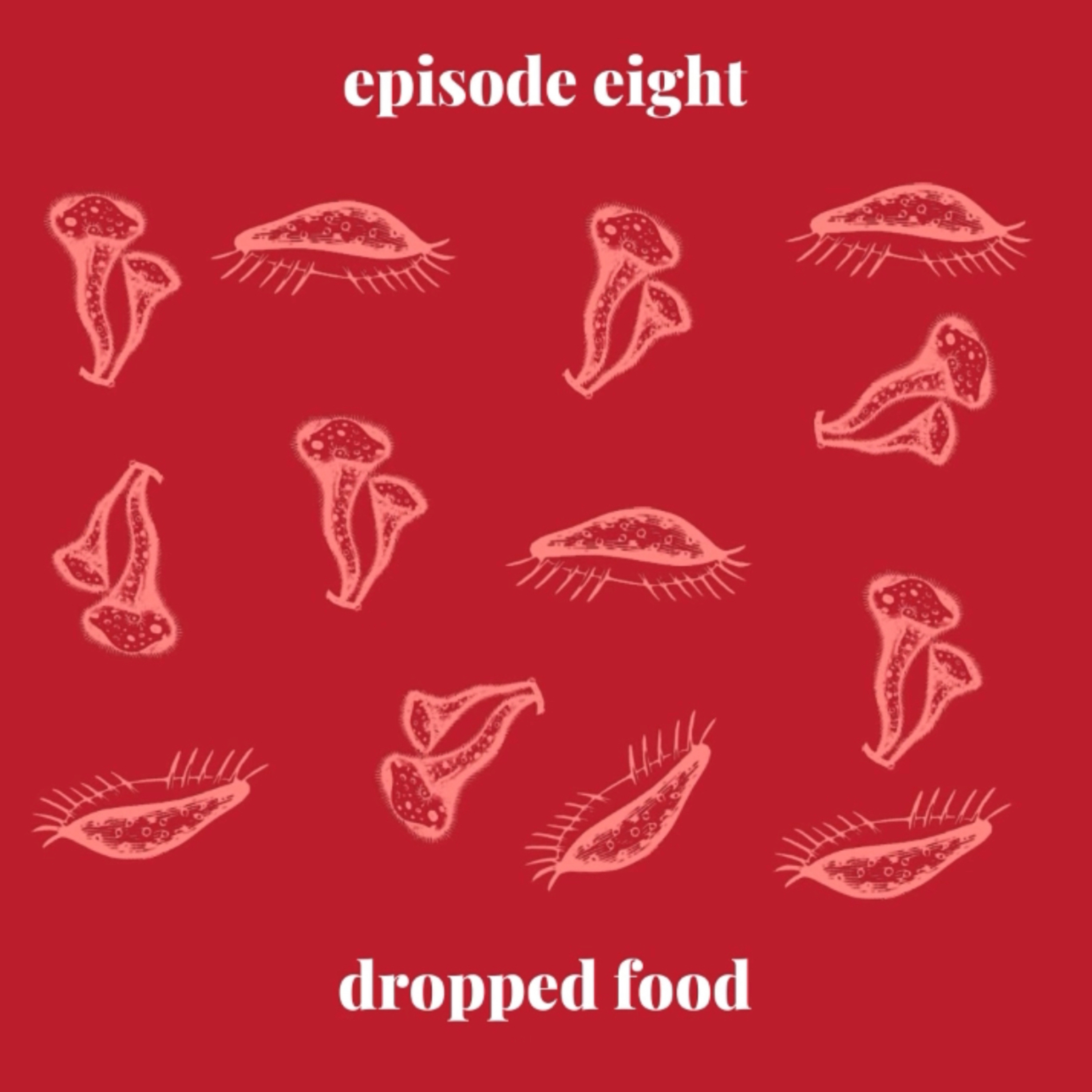 Dropped Food