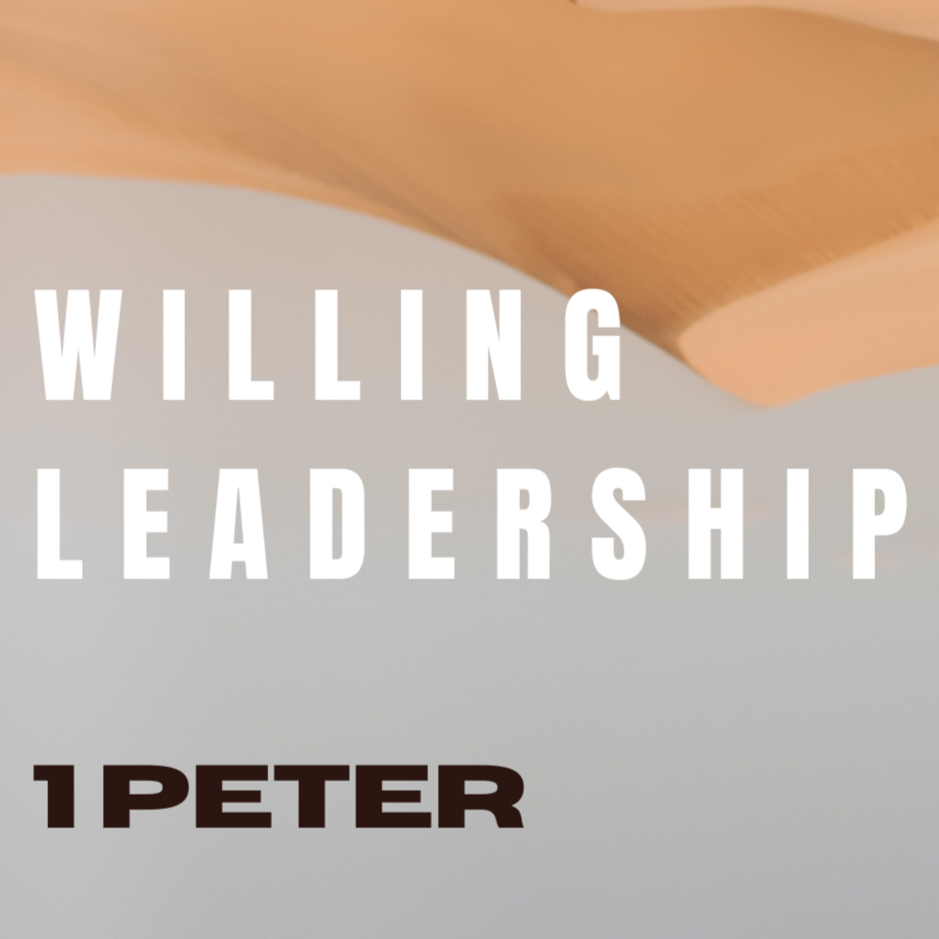 Willing Leadership episode artwork