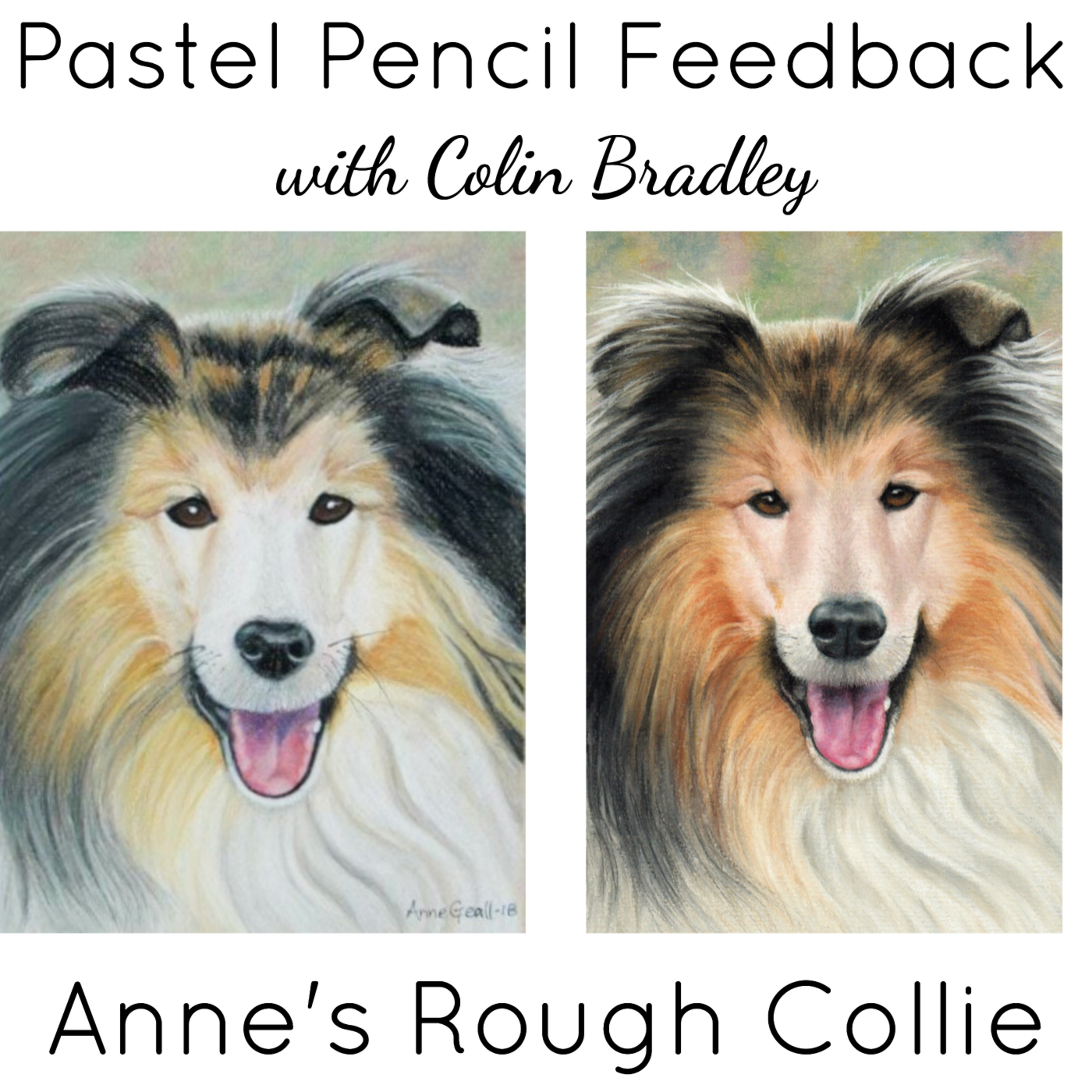 Pastel Pencil Feedback & Advice