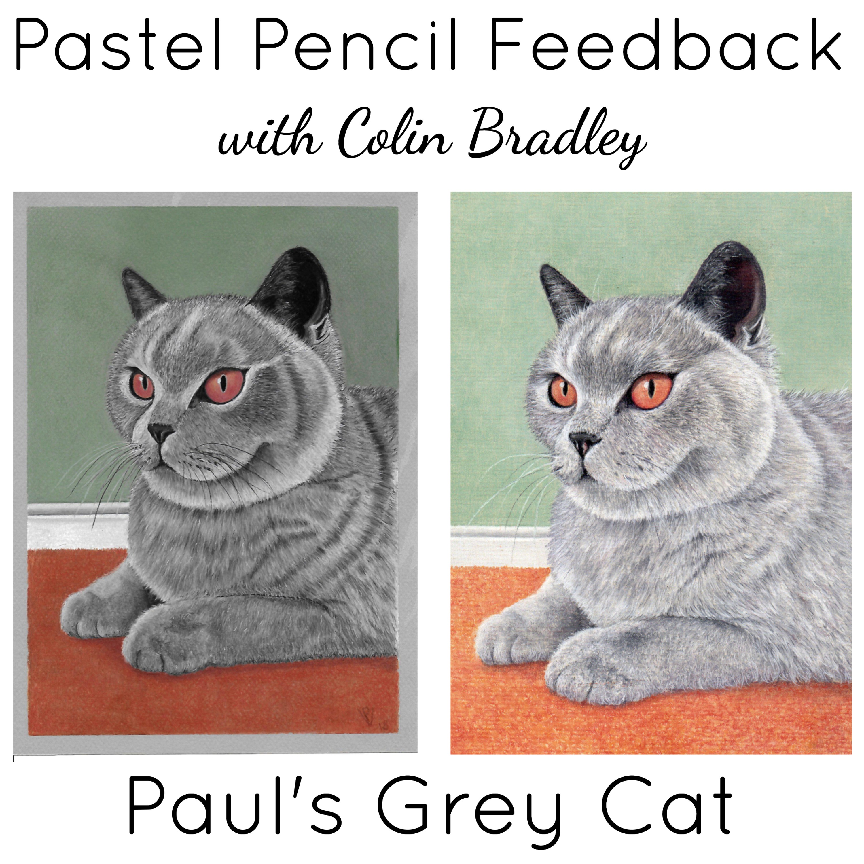 Pastel Pencil Feedback & Advice