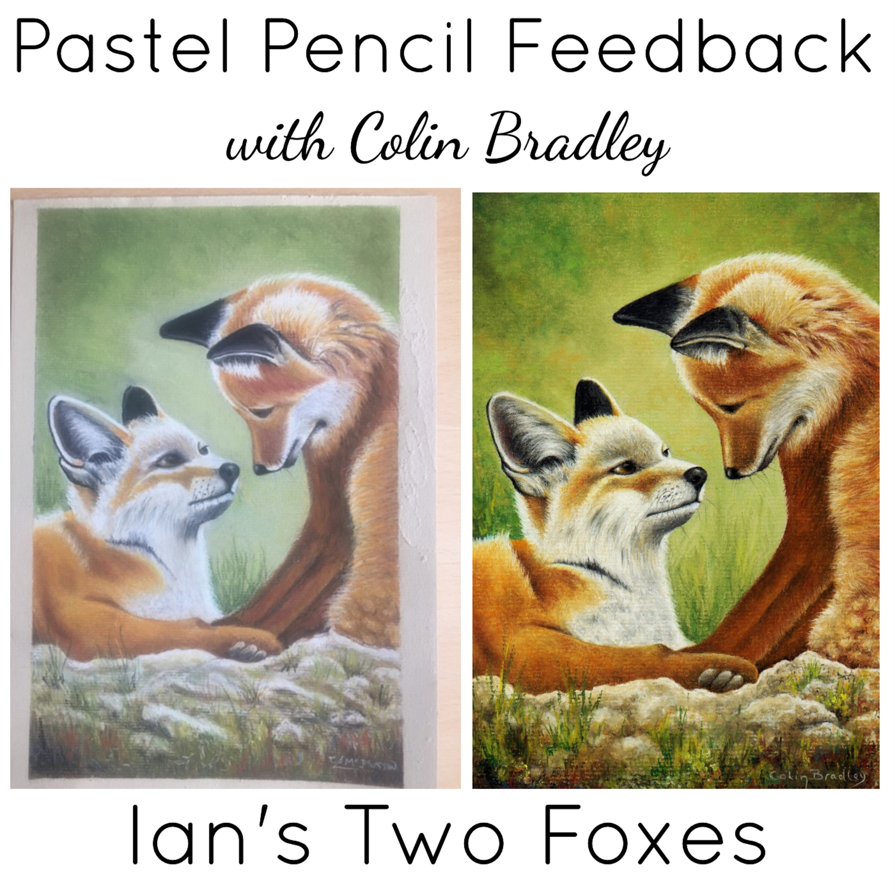 Ian's Two Foxes