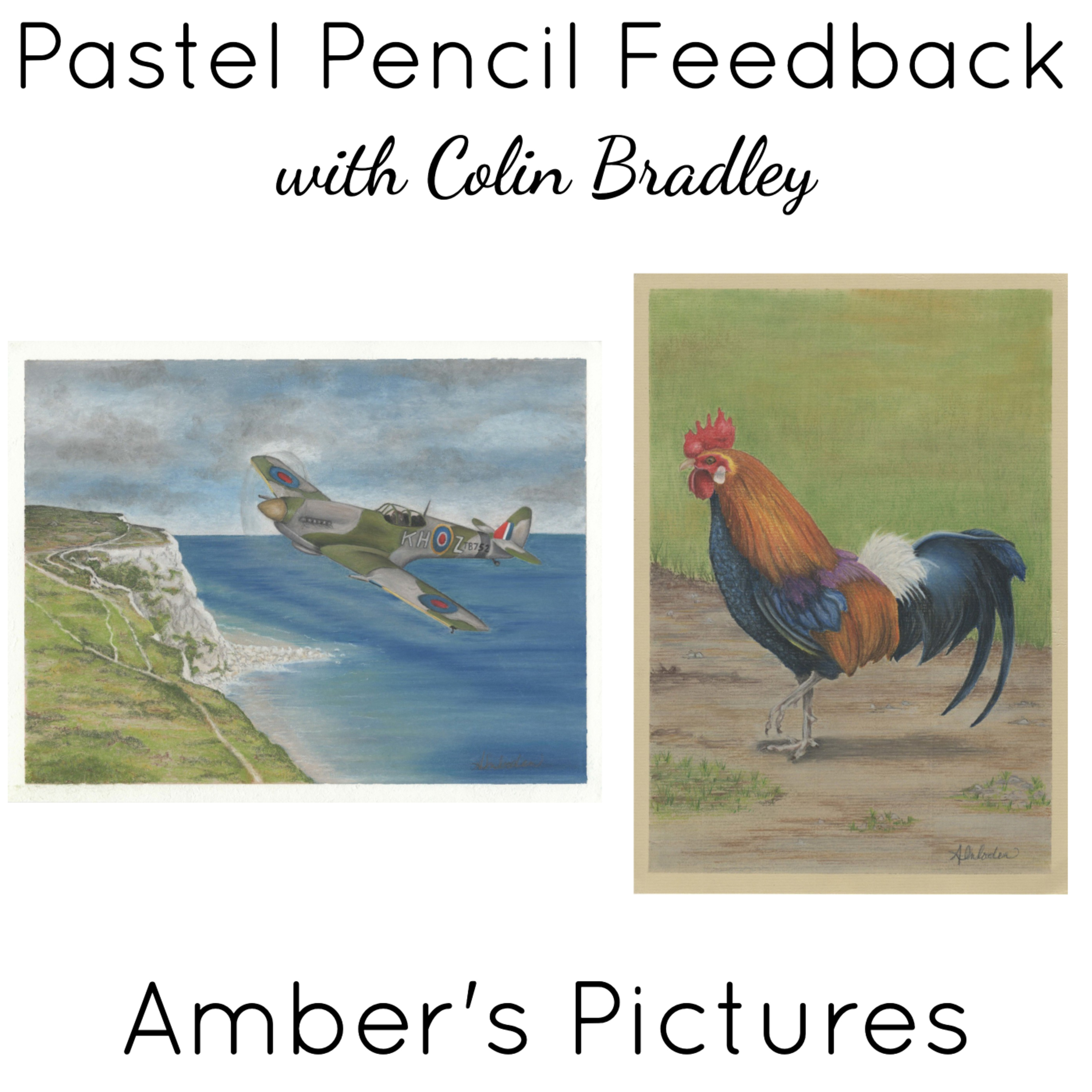Amber's Spitfire & Rooster